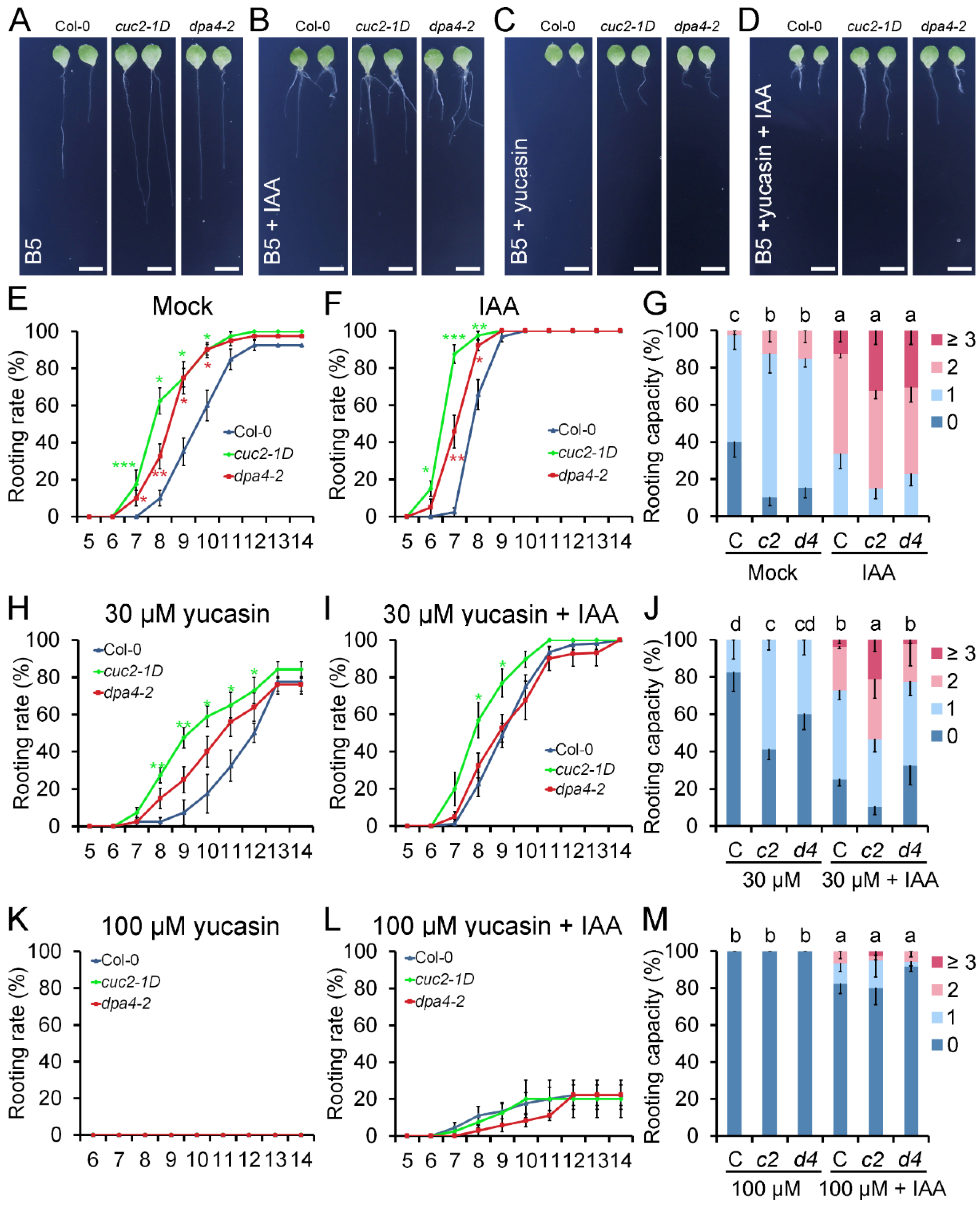 Preprints 179004 g003