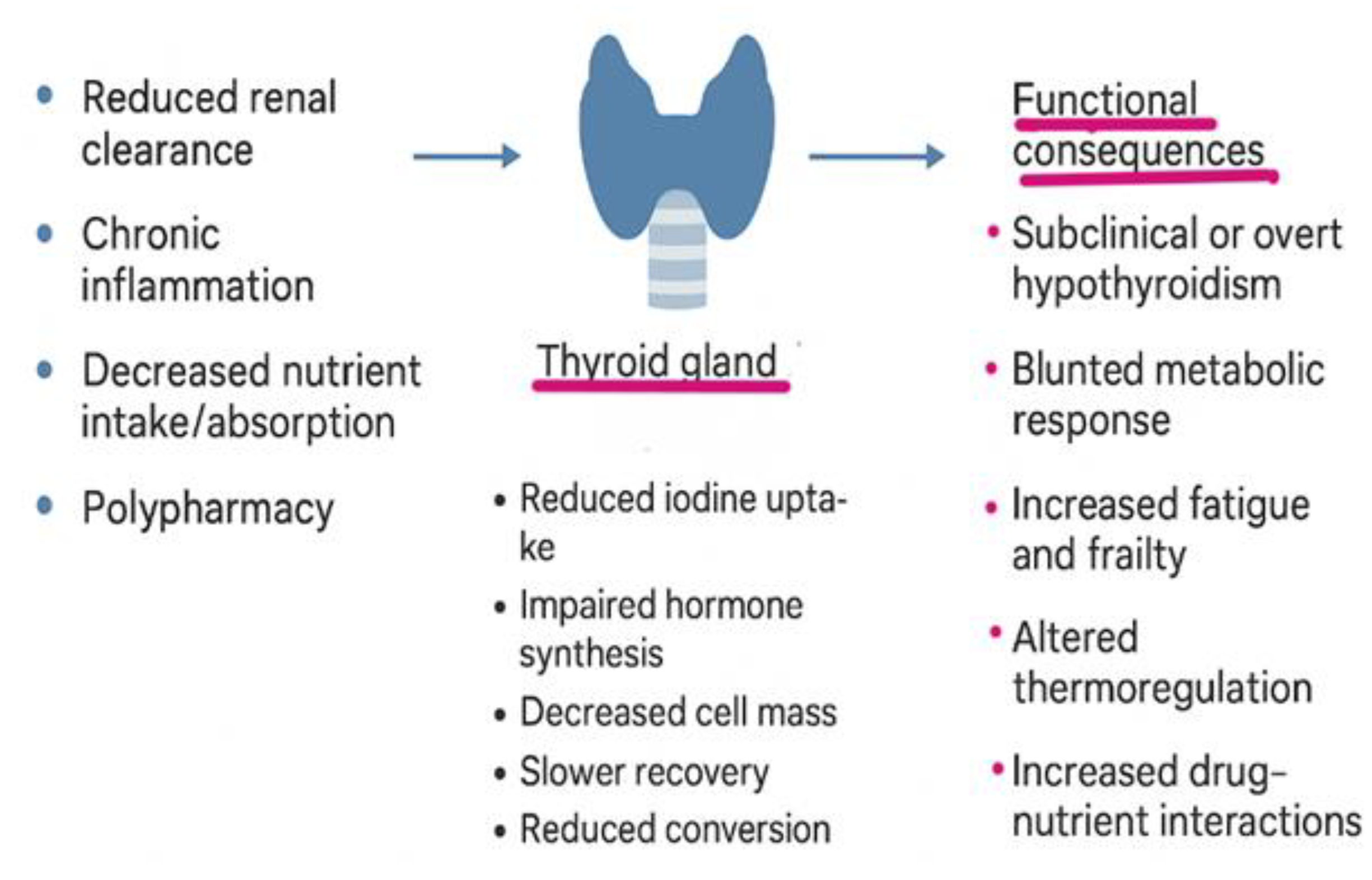 Preprints 188907 g002