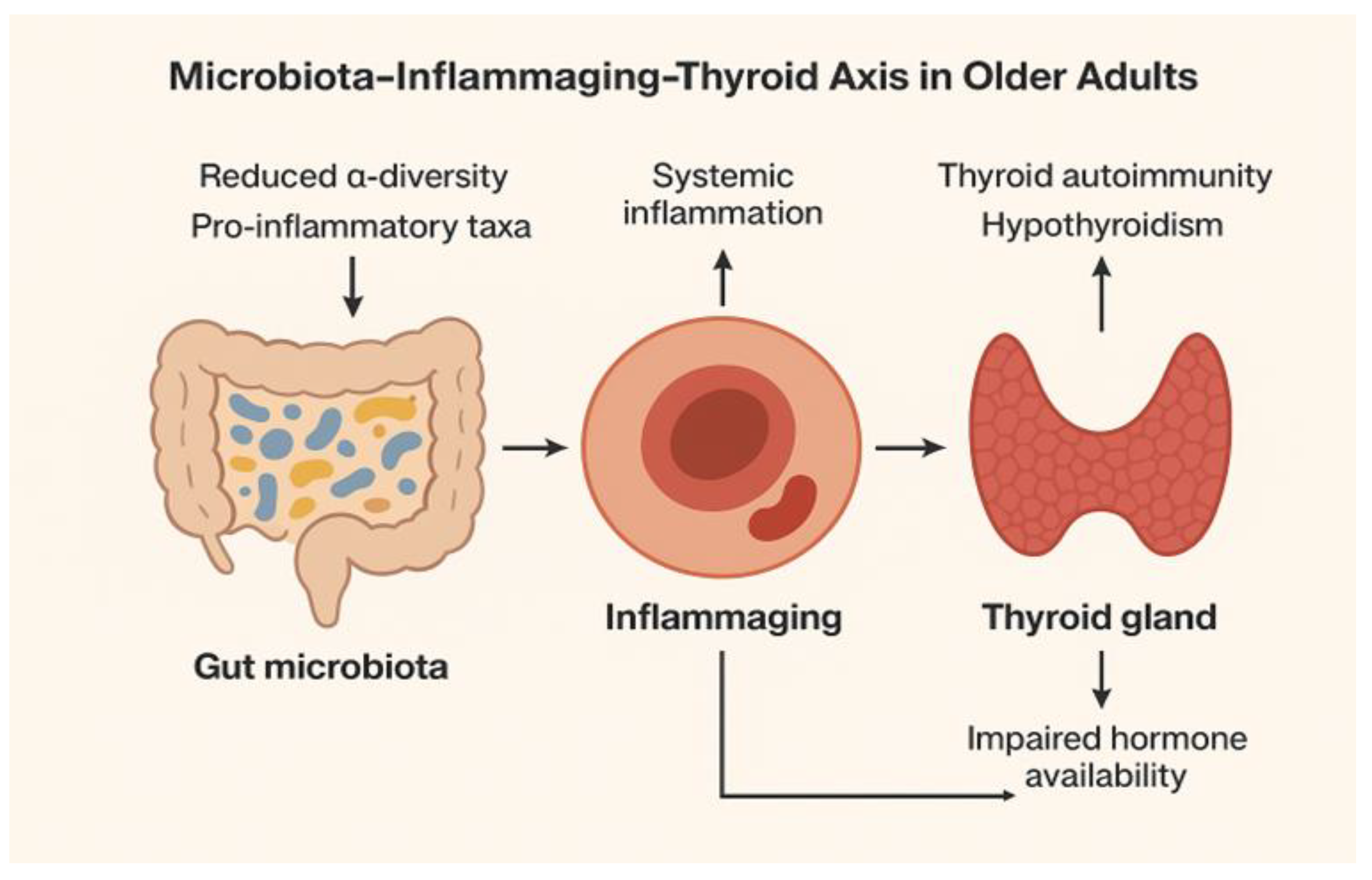 Preprints 188907 g004