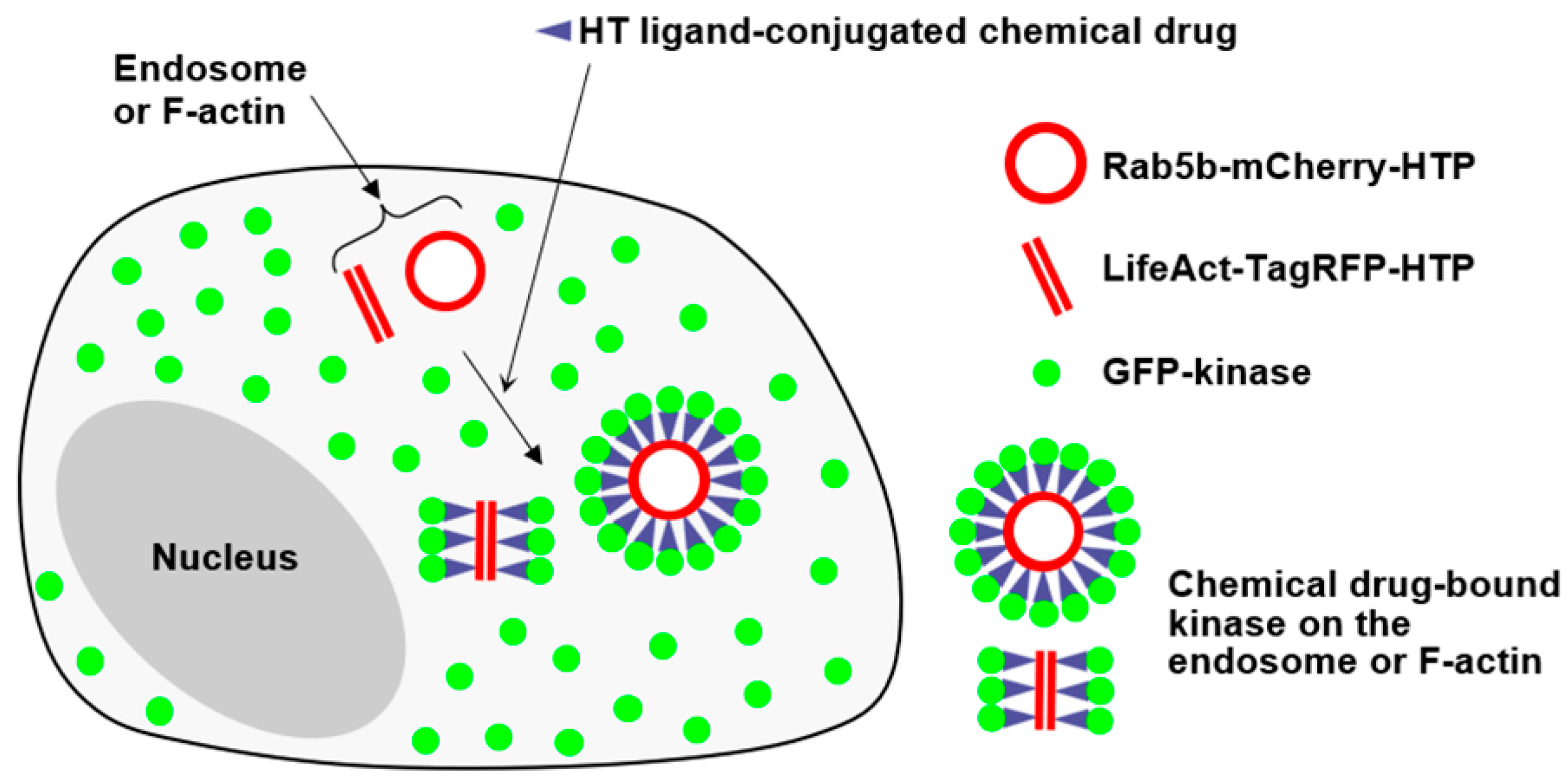 Preprints 159450 g001
