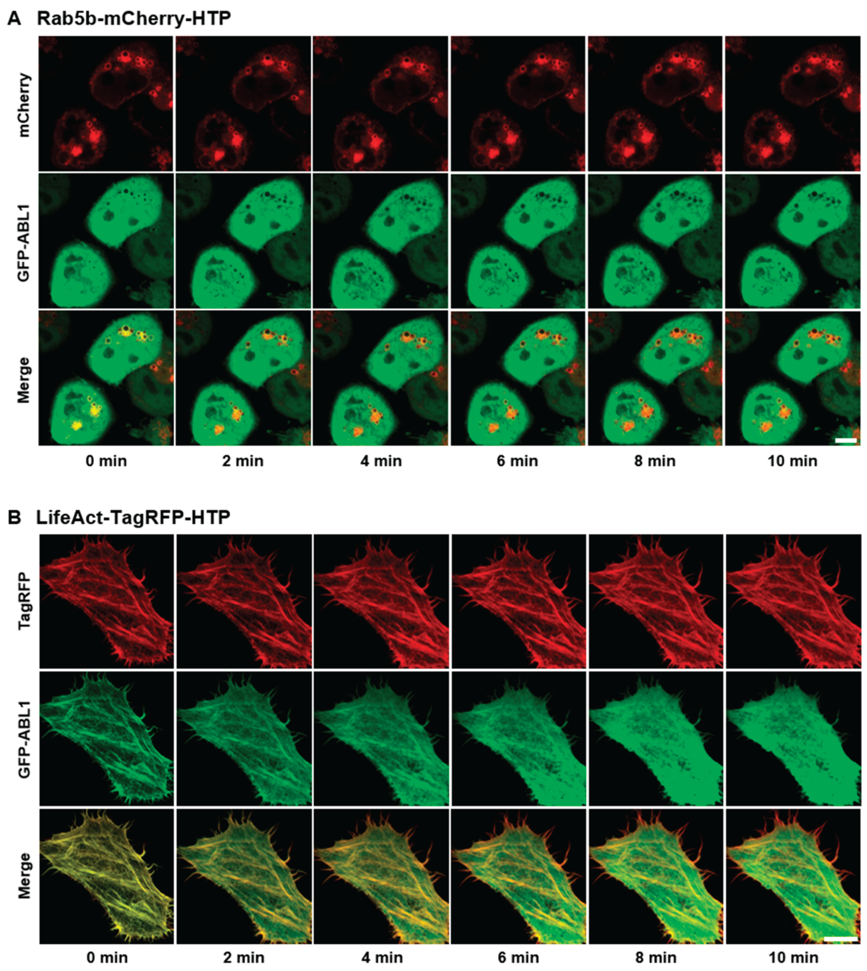 Preprints 159450 g004