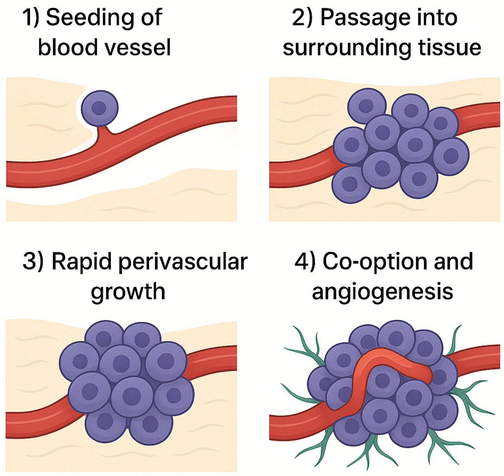 Preprints 160332 g001