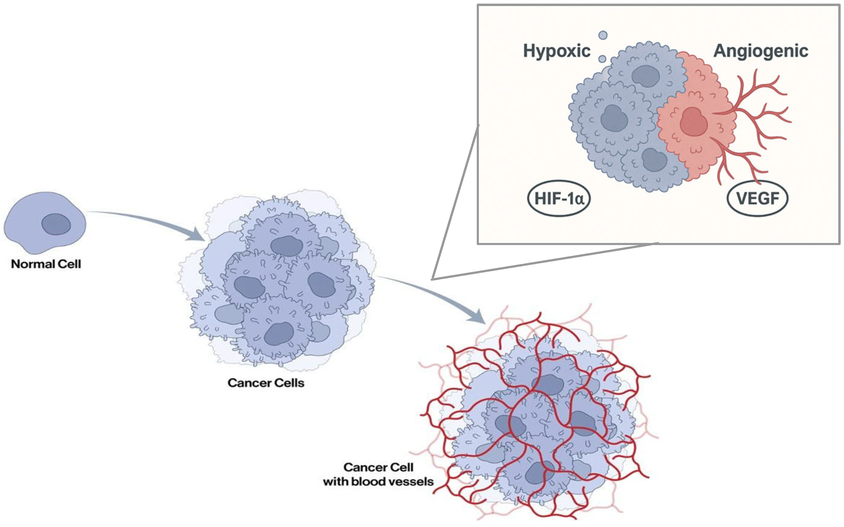Preprints 160332 g002