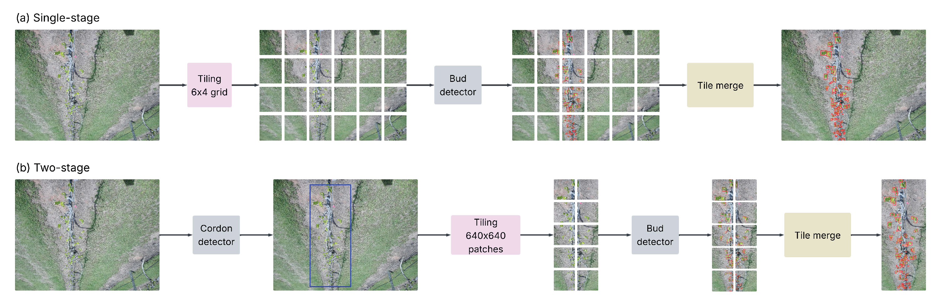 Preprints 178708 g004