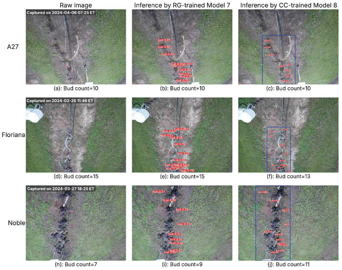 Preprints 178708 g005