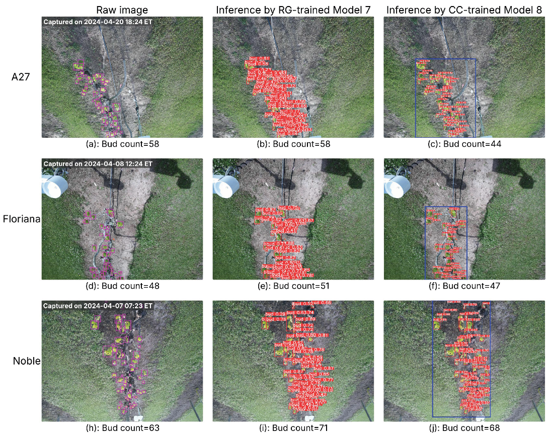 Preprints 178708 g006