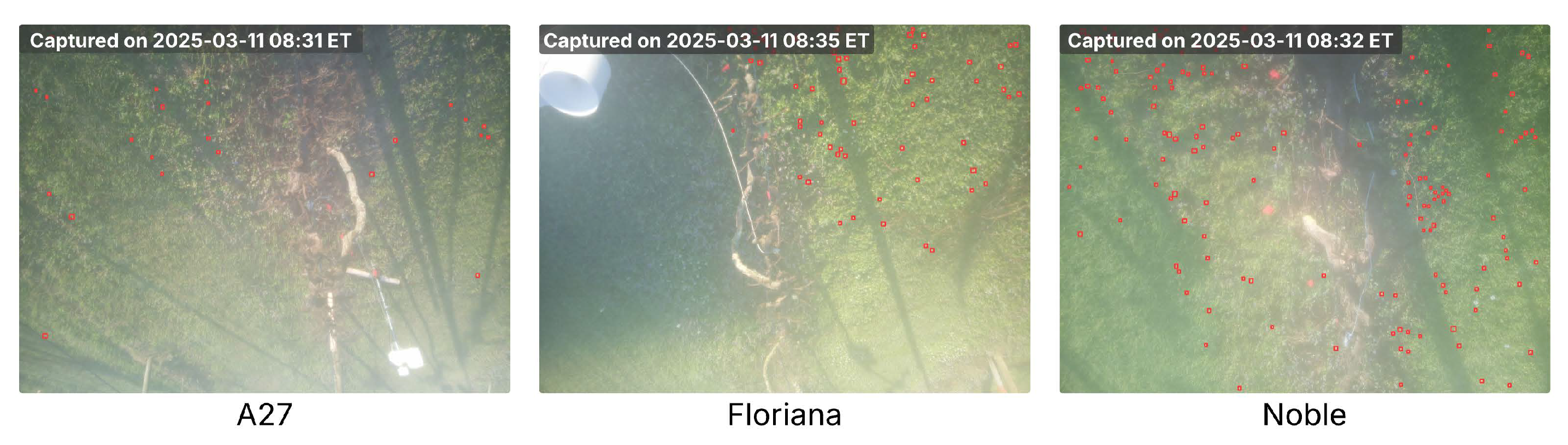 Preprints 178708 g009