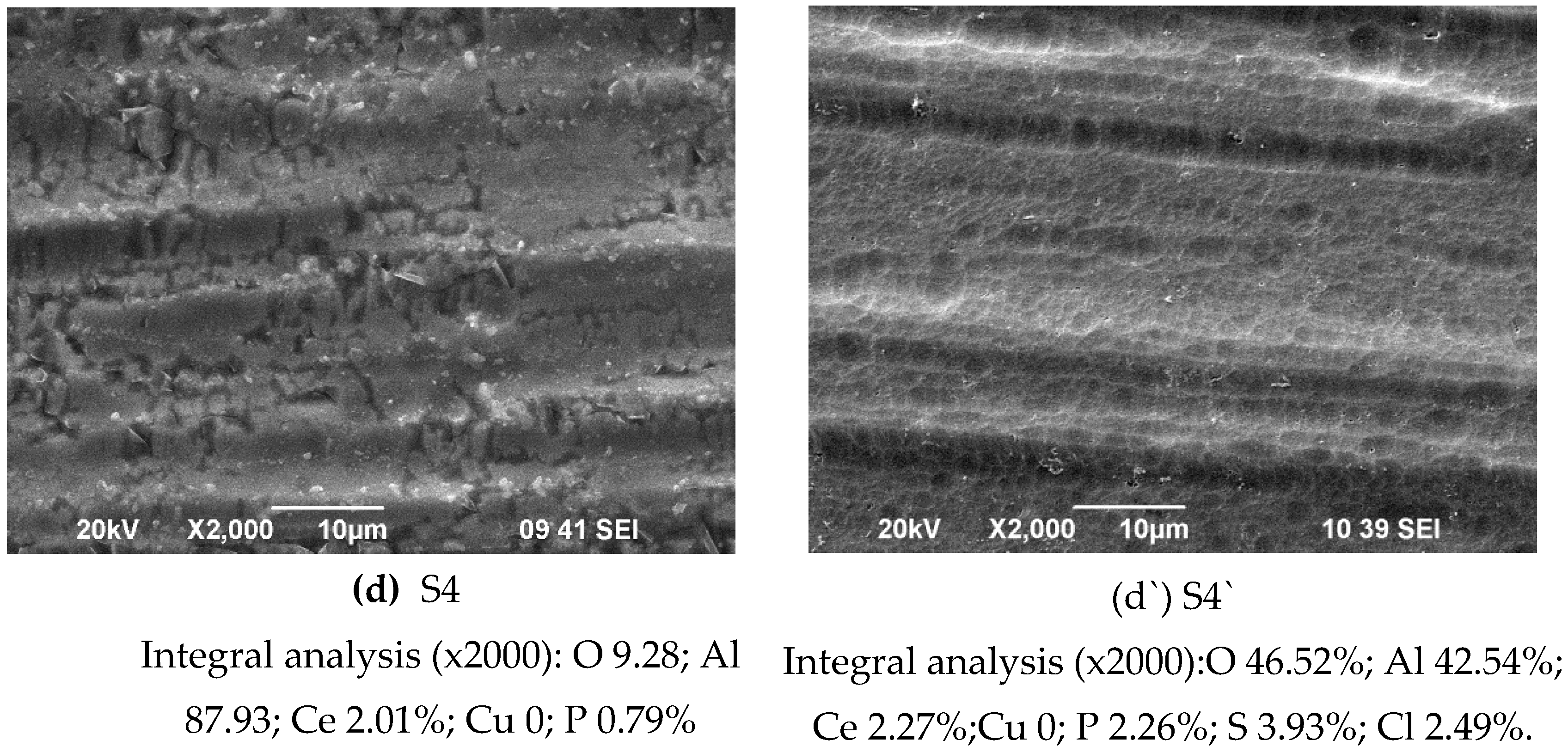 Preprints 143099 g001c
