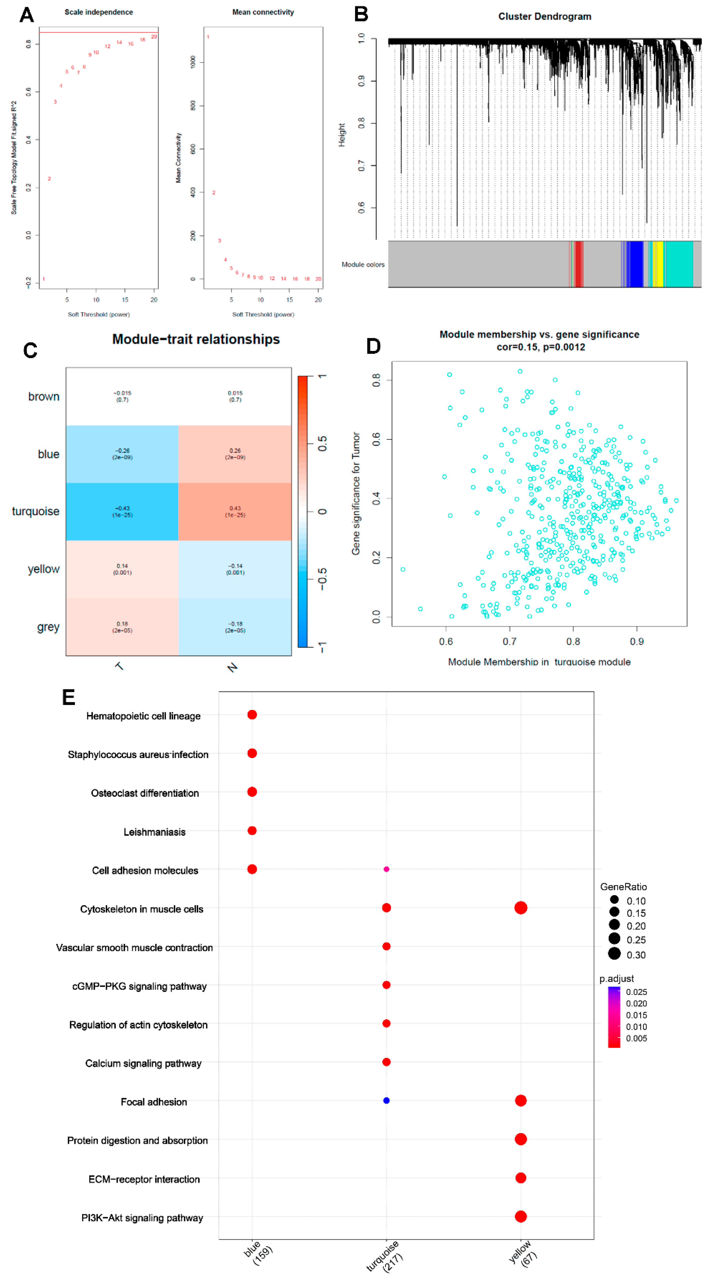 Preprints 145975 g003