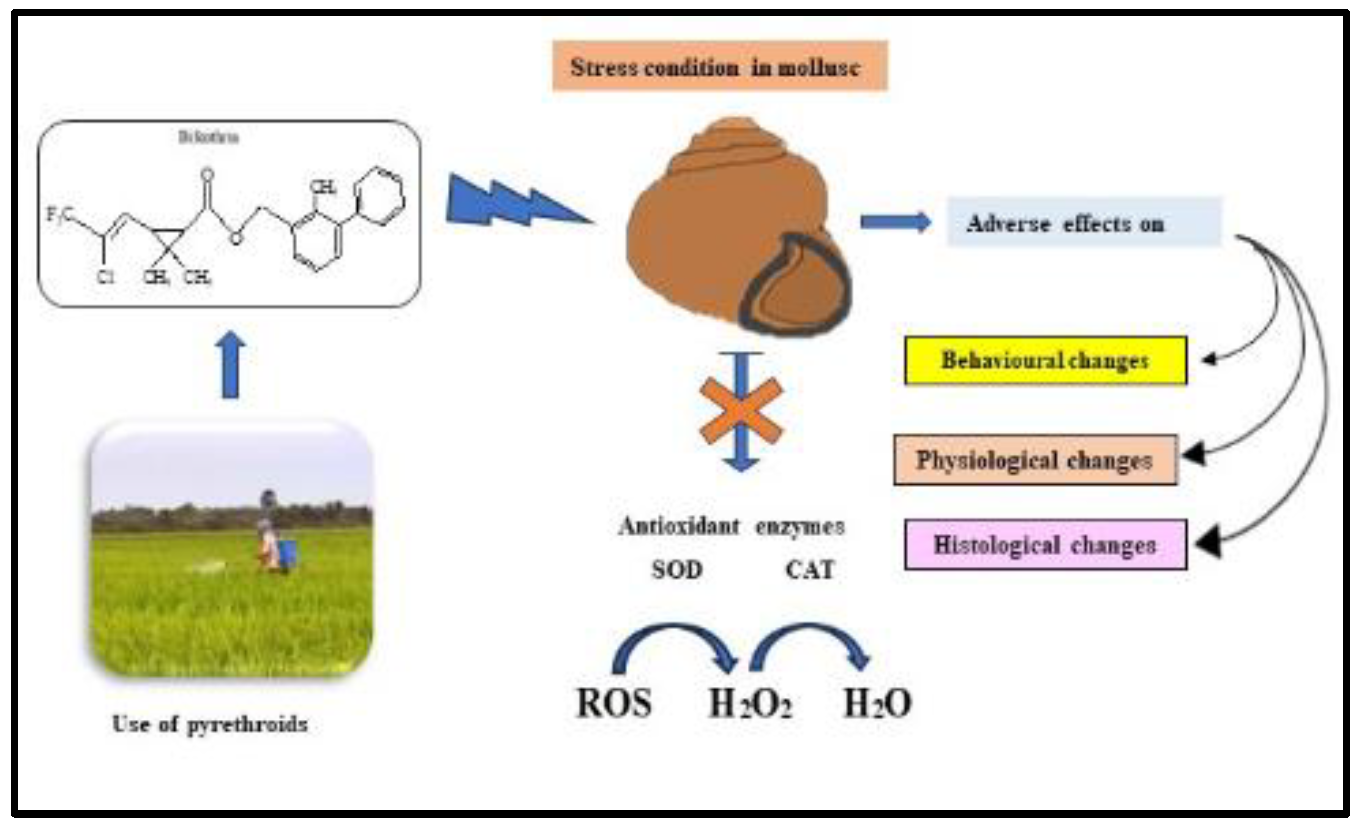 Preprints 104145 g001
