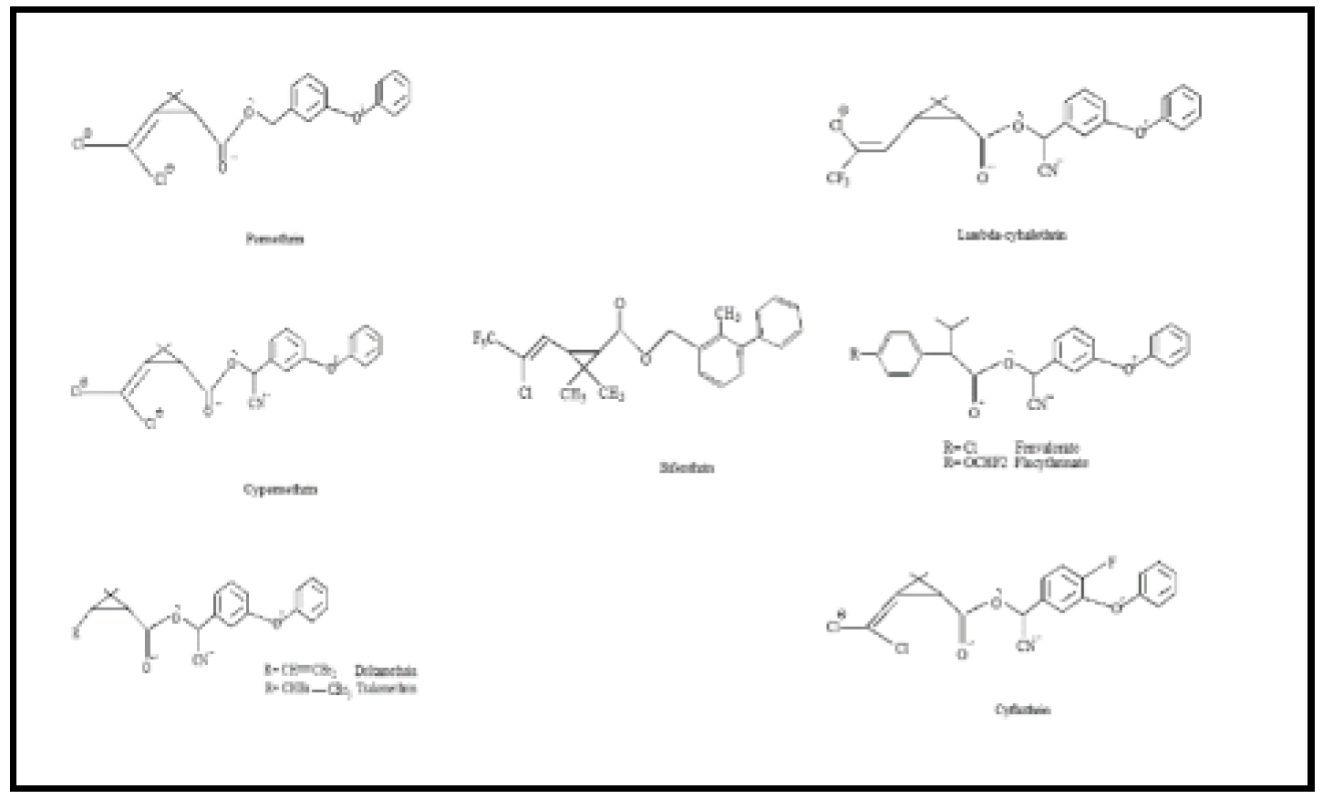 Preprints 104145 g002
