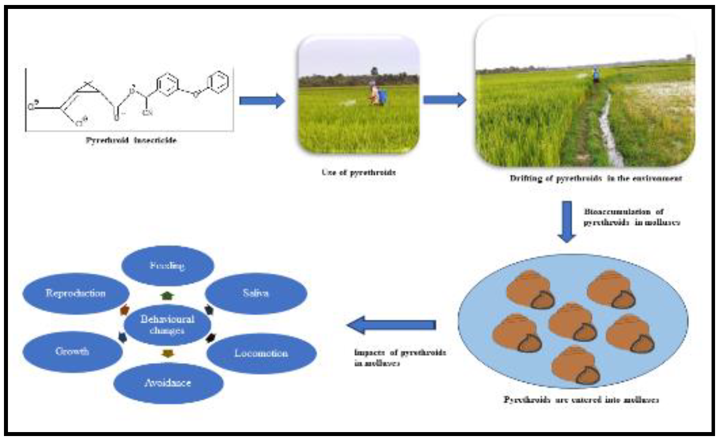 Preprints 104145 g003