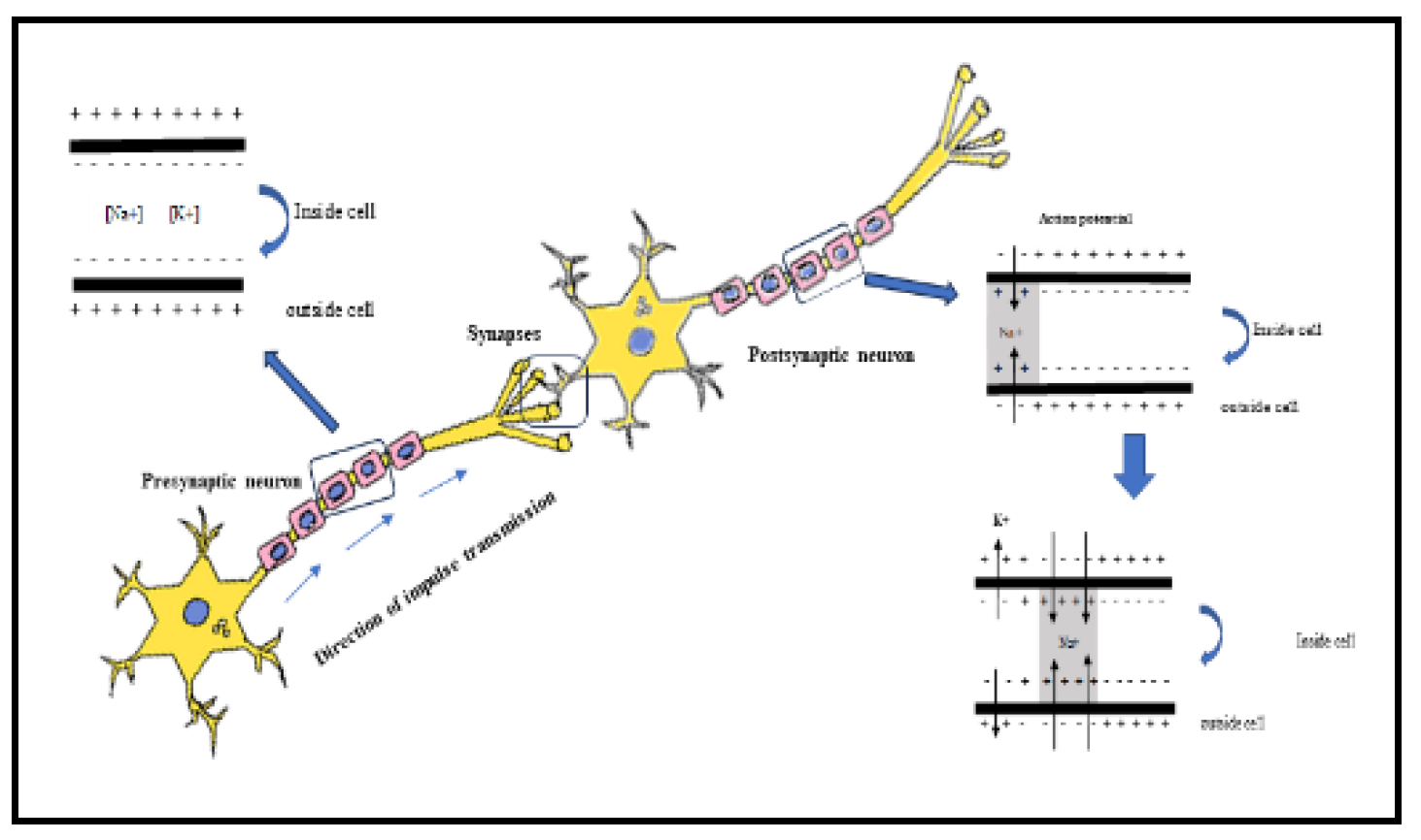 Preprints 104145 g004