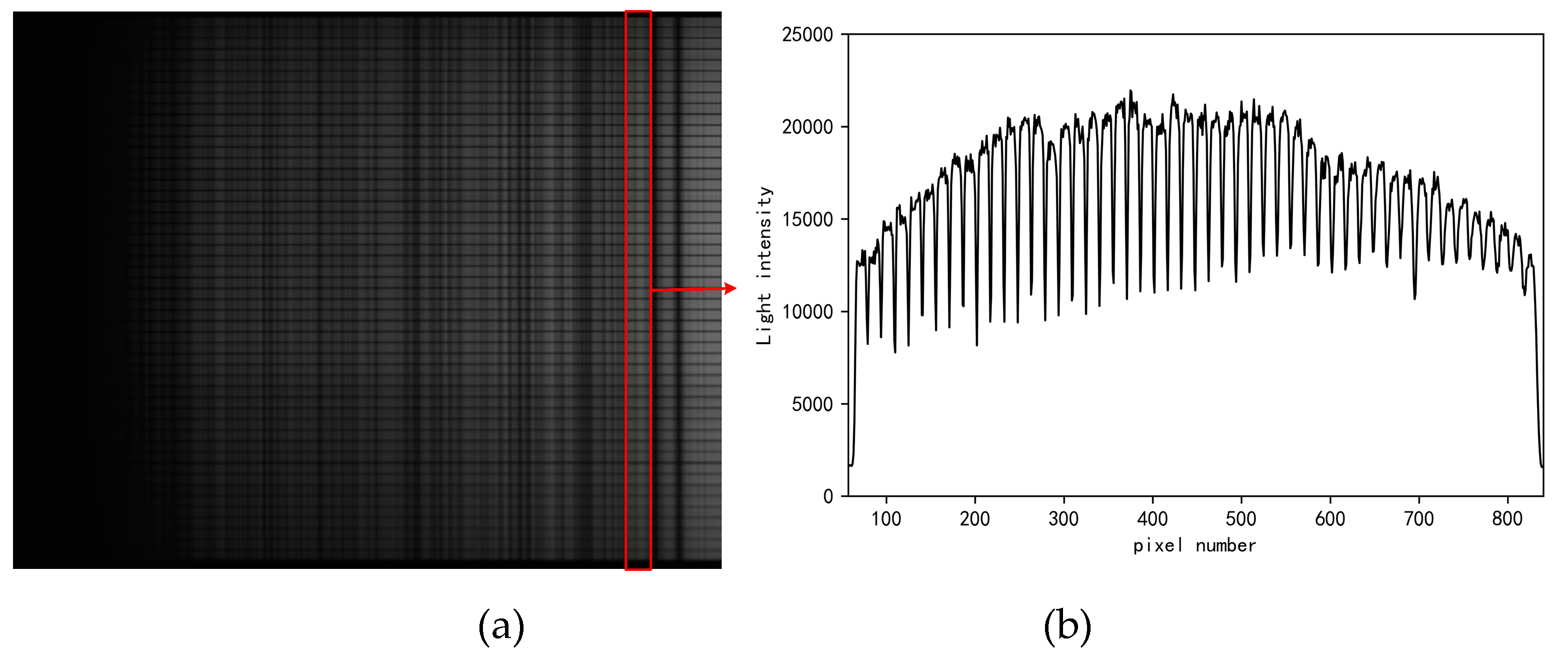 Preprints 96485 g012