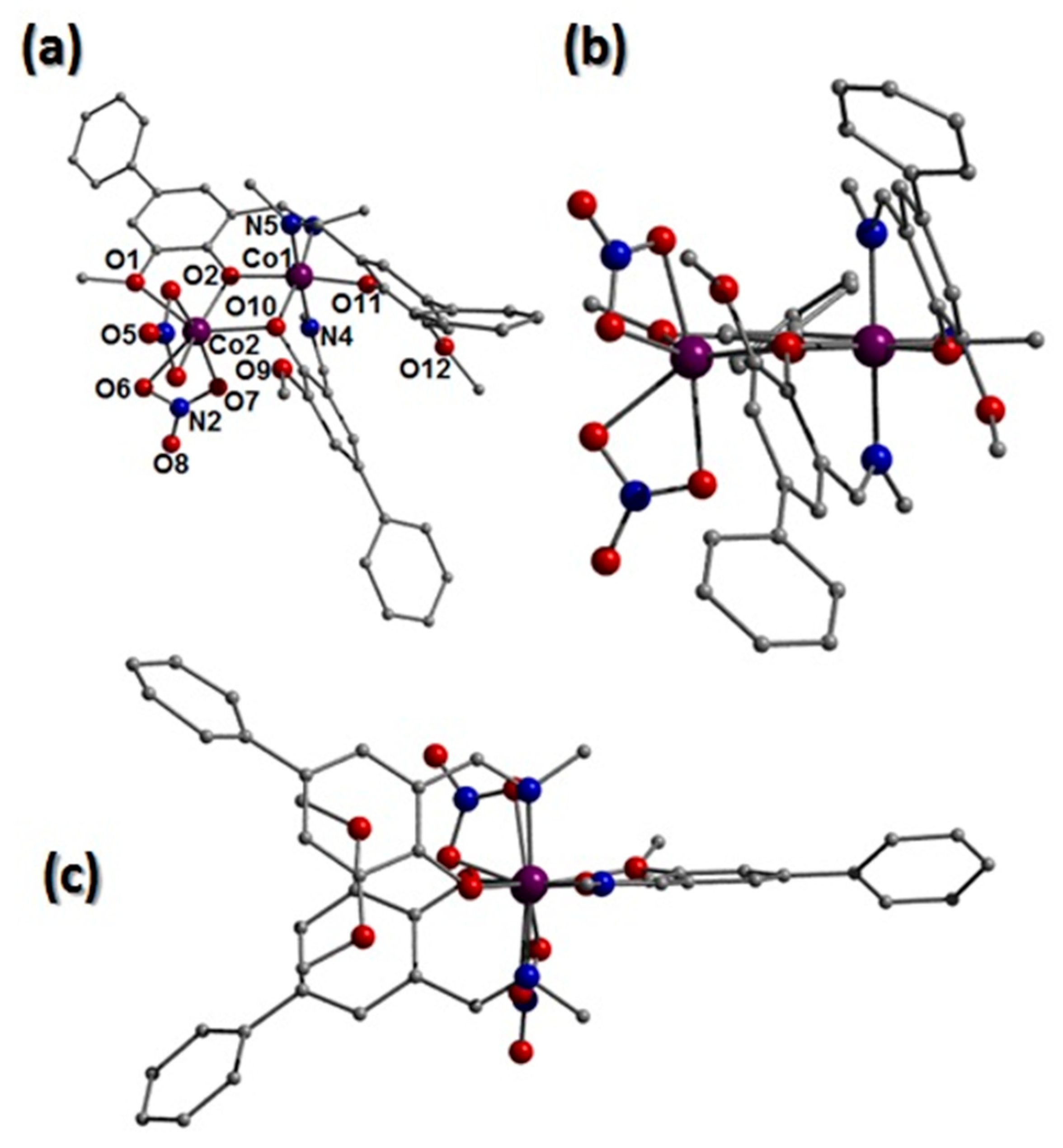 Preprints 229293 g005