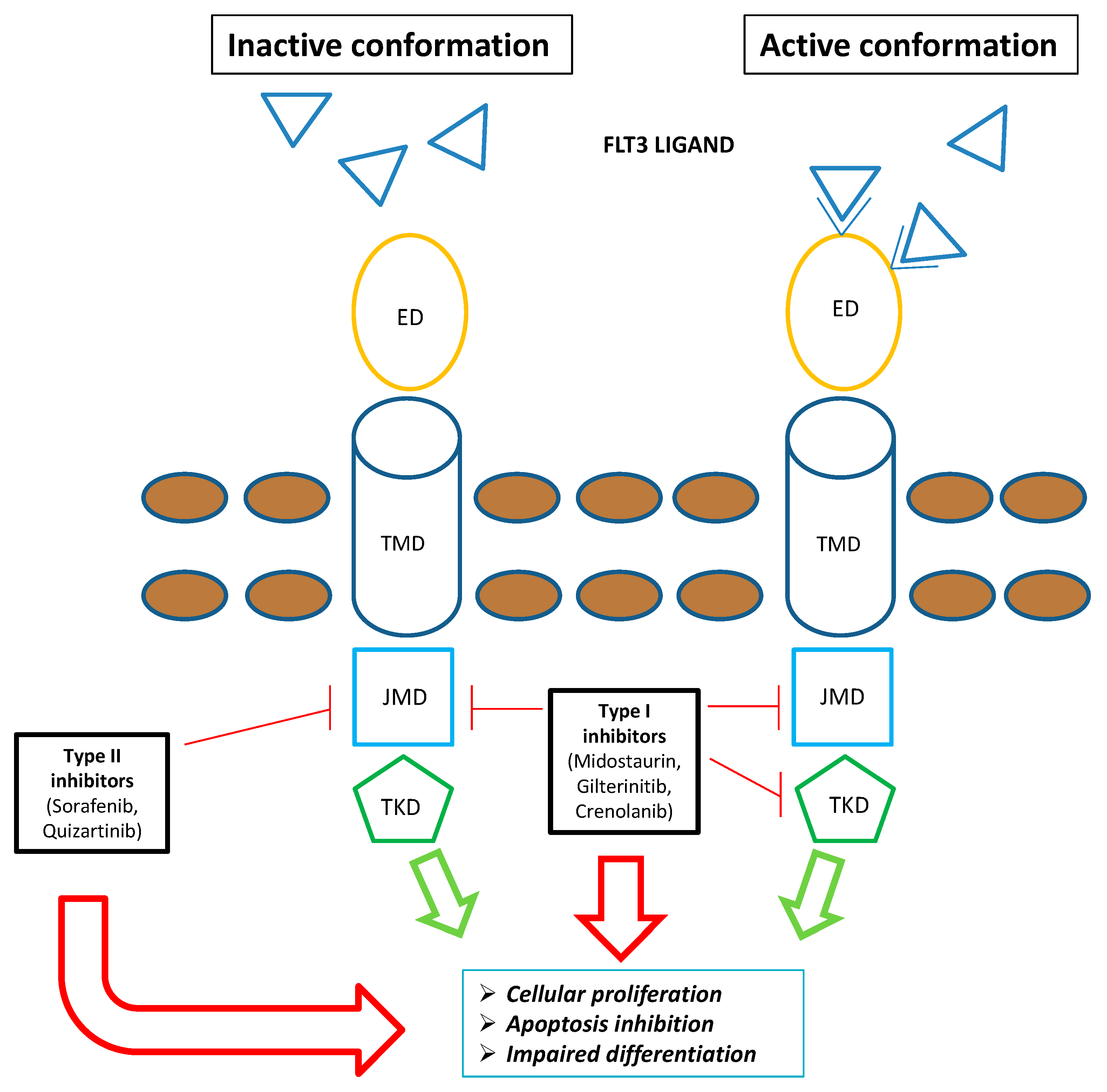 Preprints 72248 g001