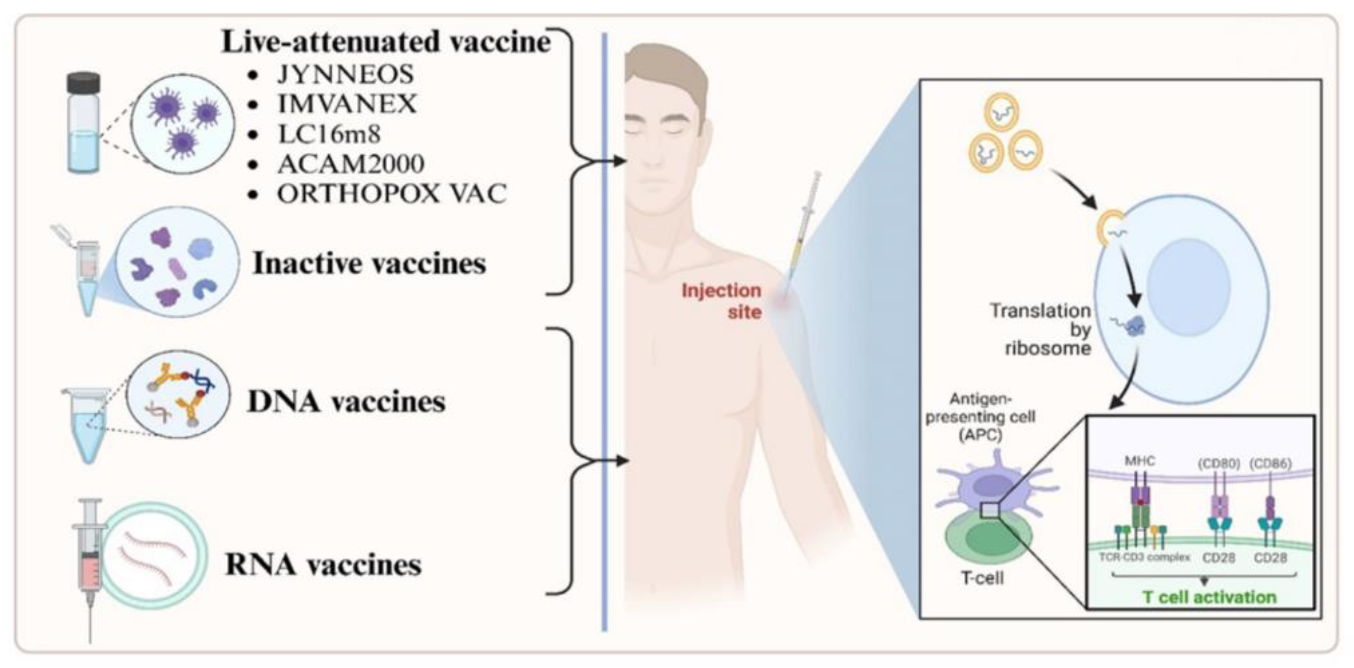 Preprints 167932 g004
