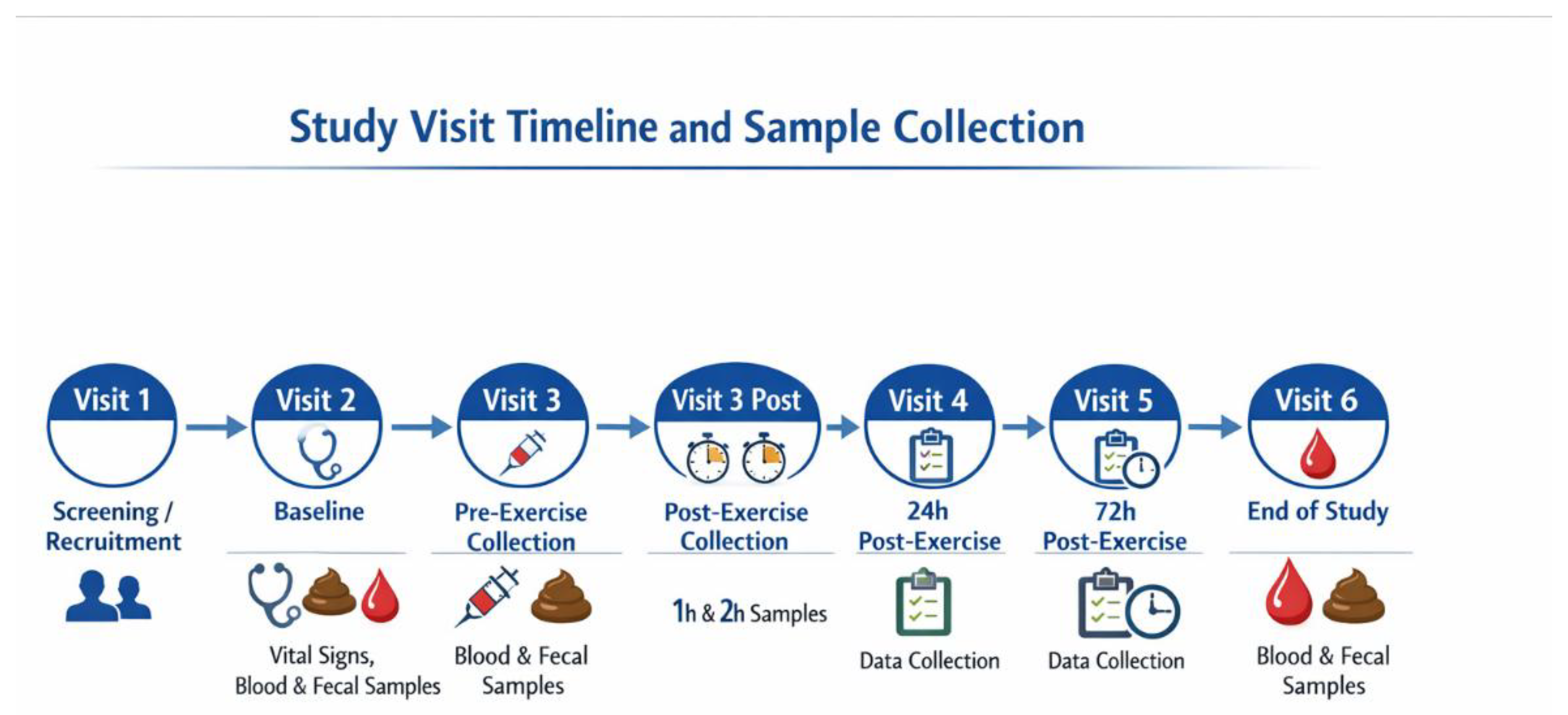 Preprints 194040 g001