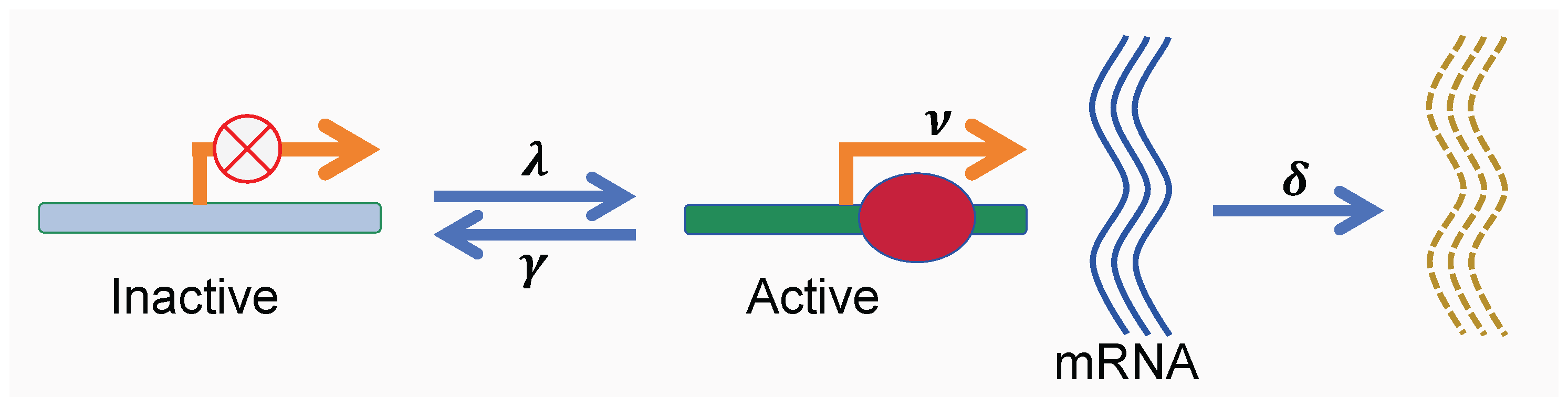 Preprints 194248 g001