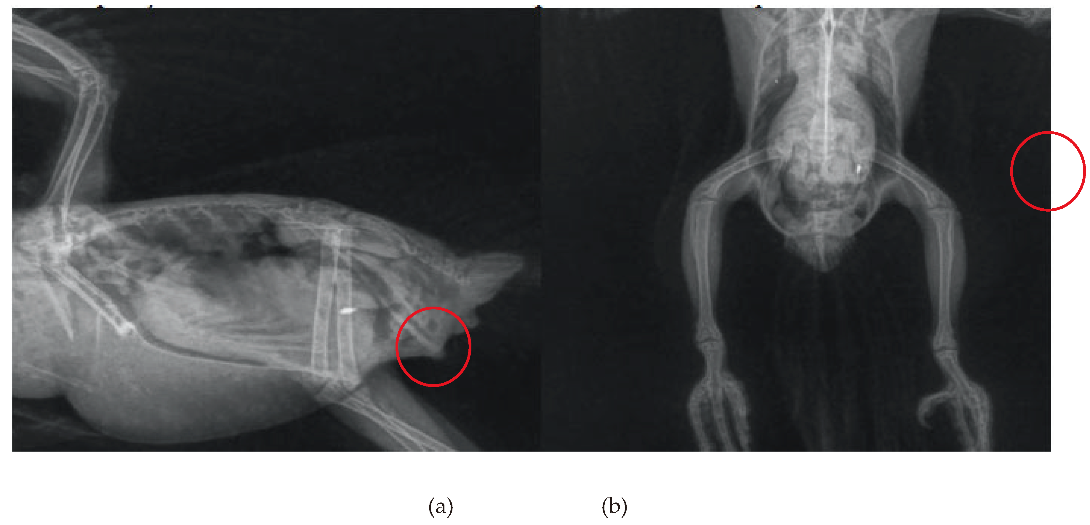 Preprints 158942 g003