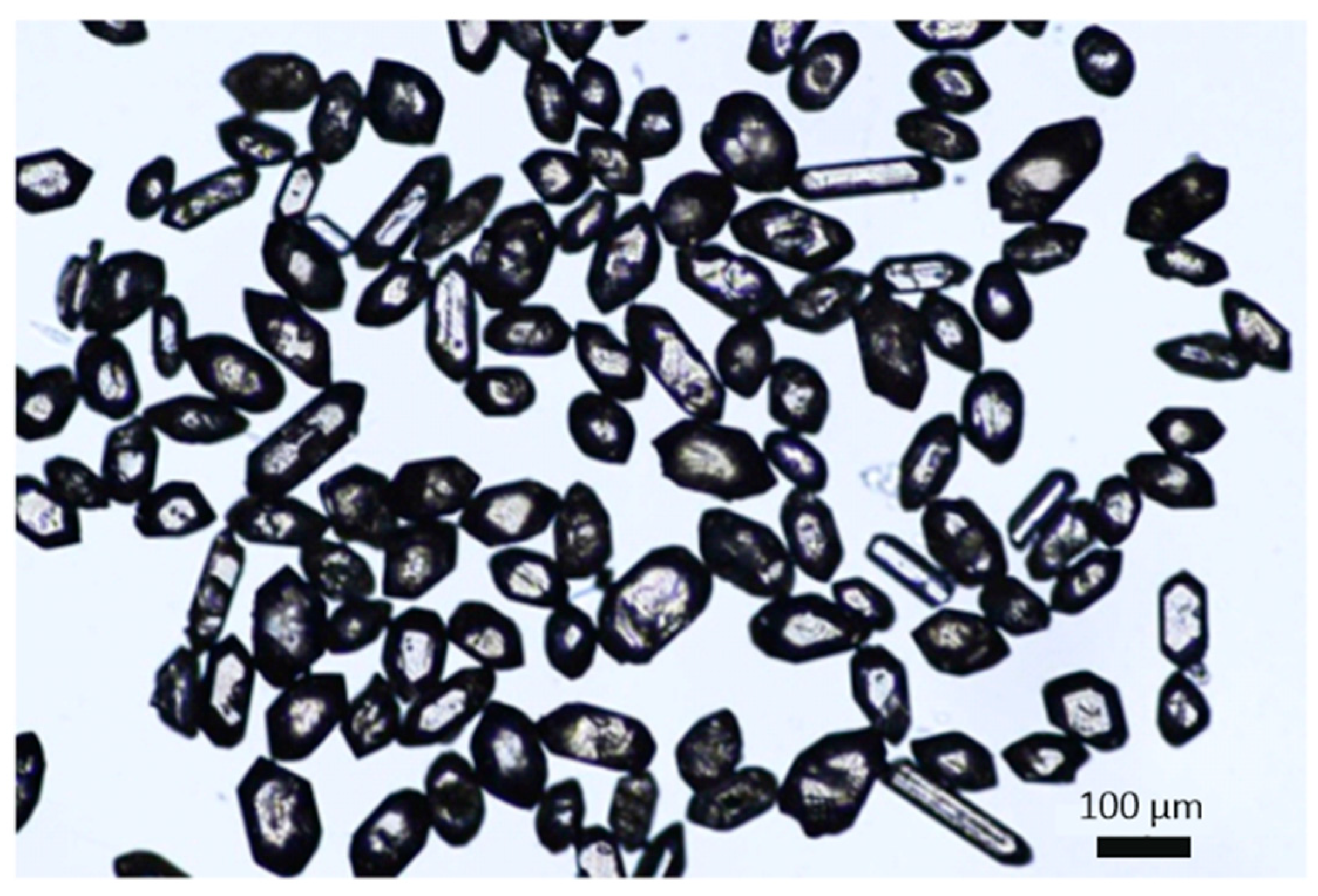 Preprints 163234 g003