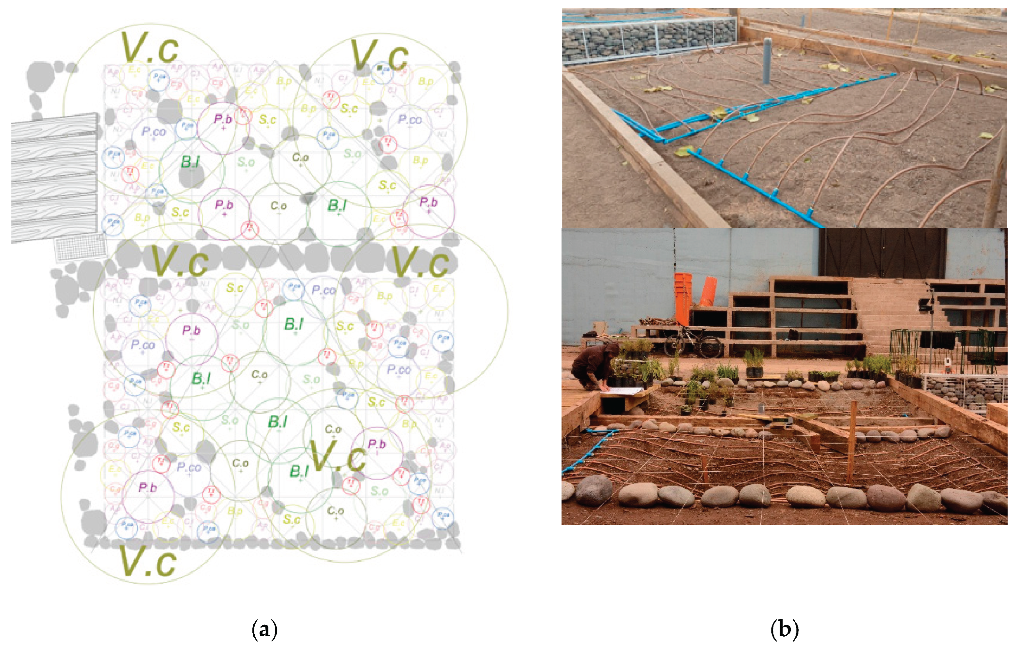 Preprints 171338 g004