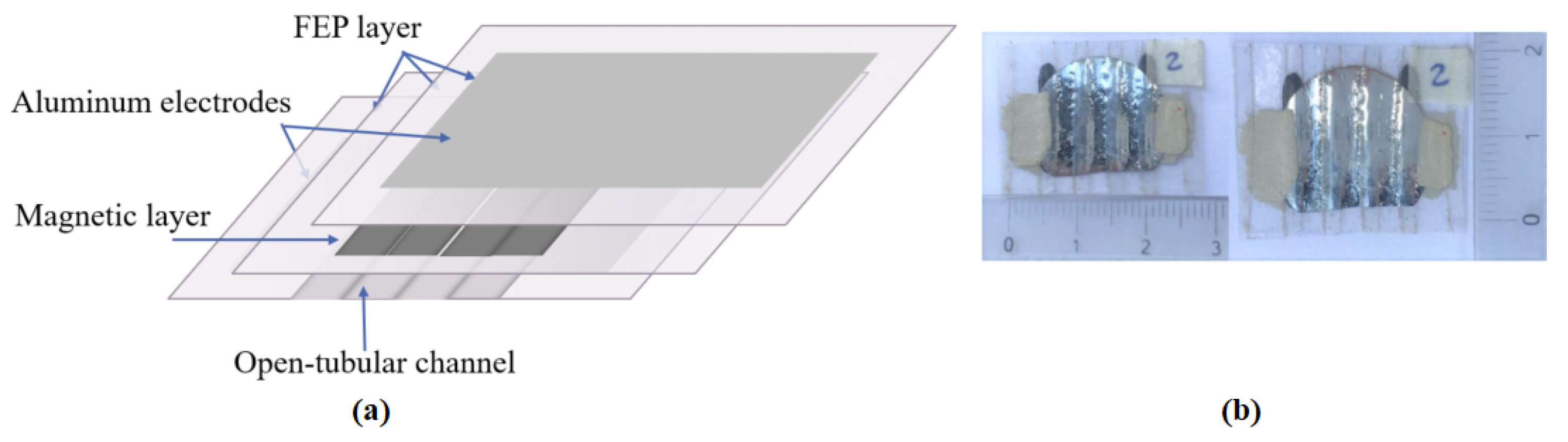 Preprints 81736 g001