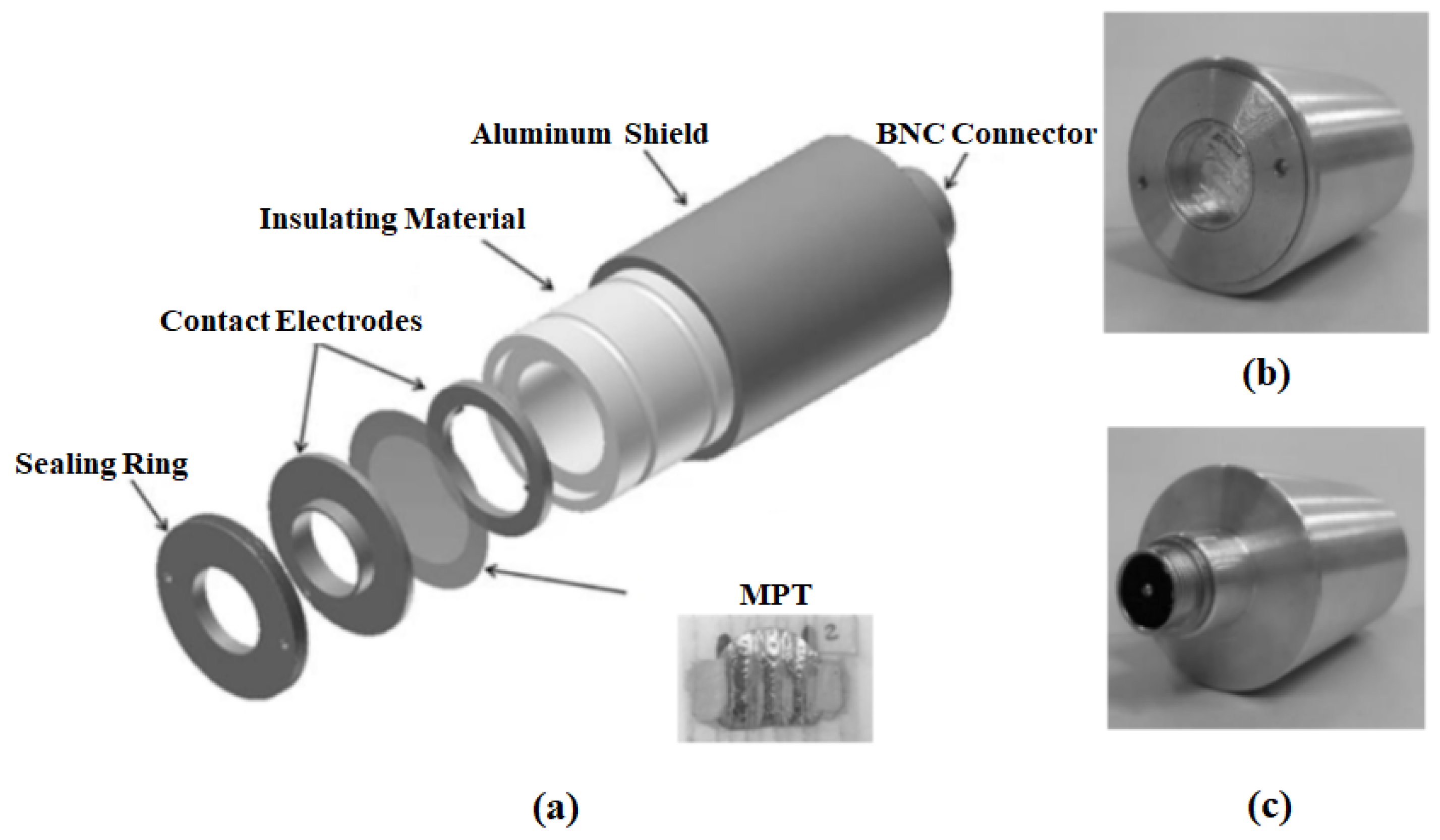 Preprints 81736 g002
