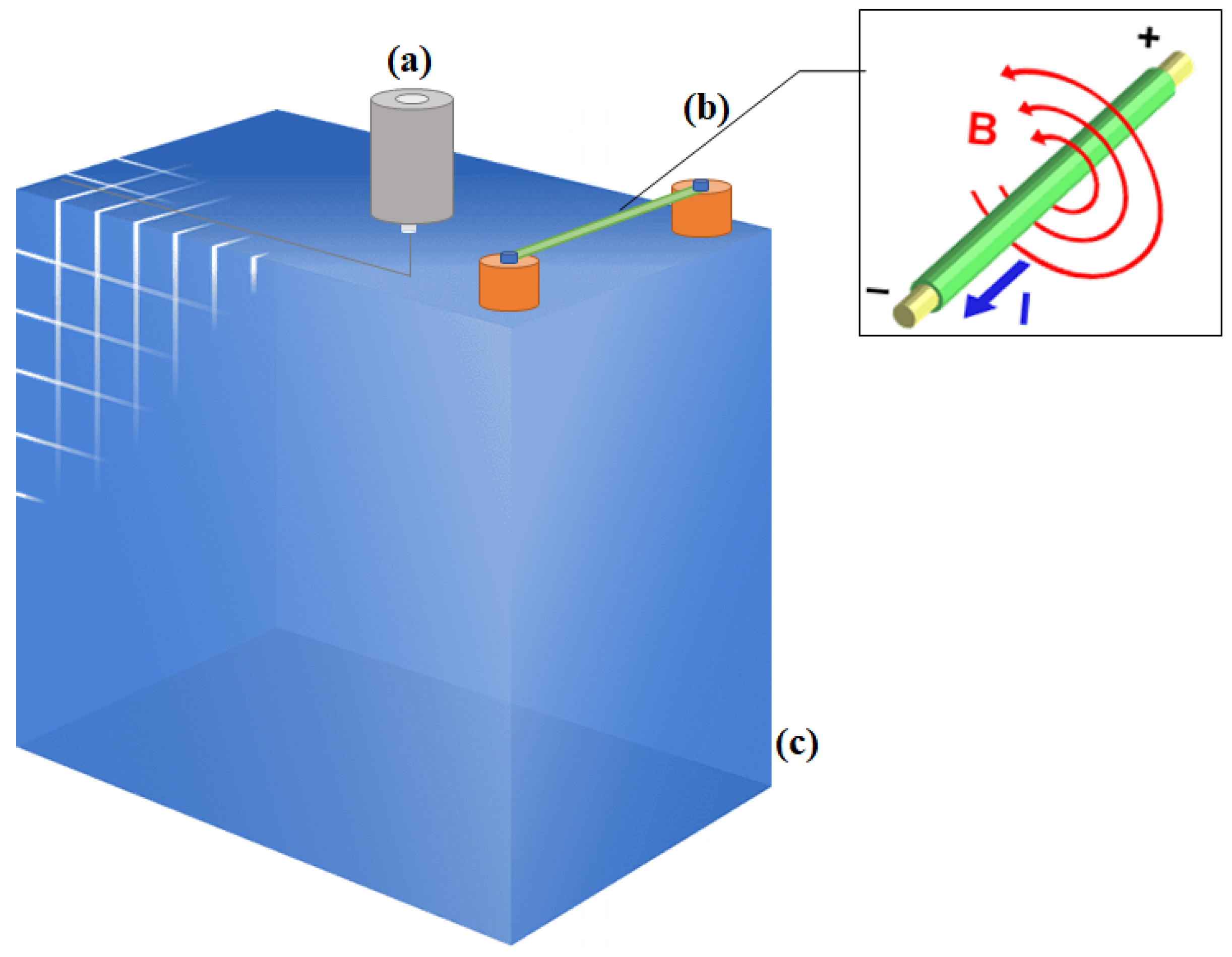 Preprints 81736 g003