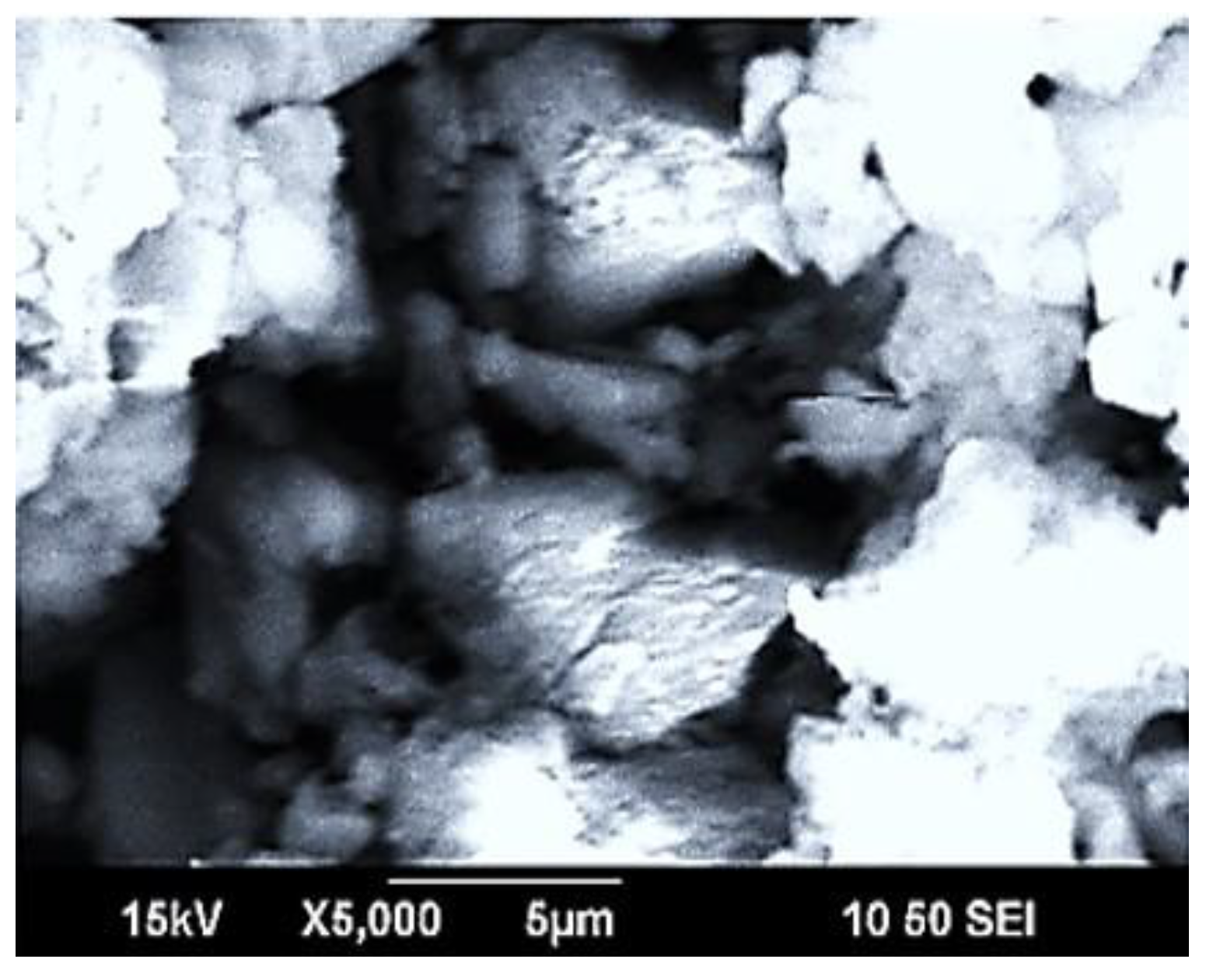 Preprints 184324 g006