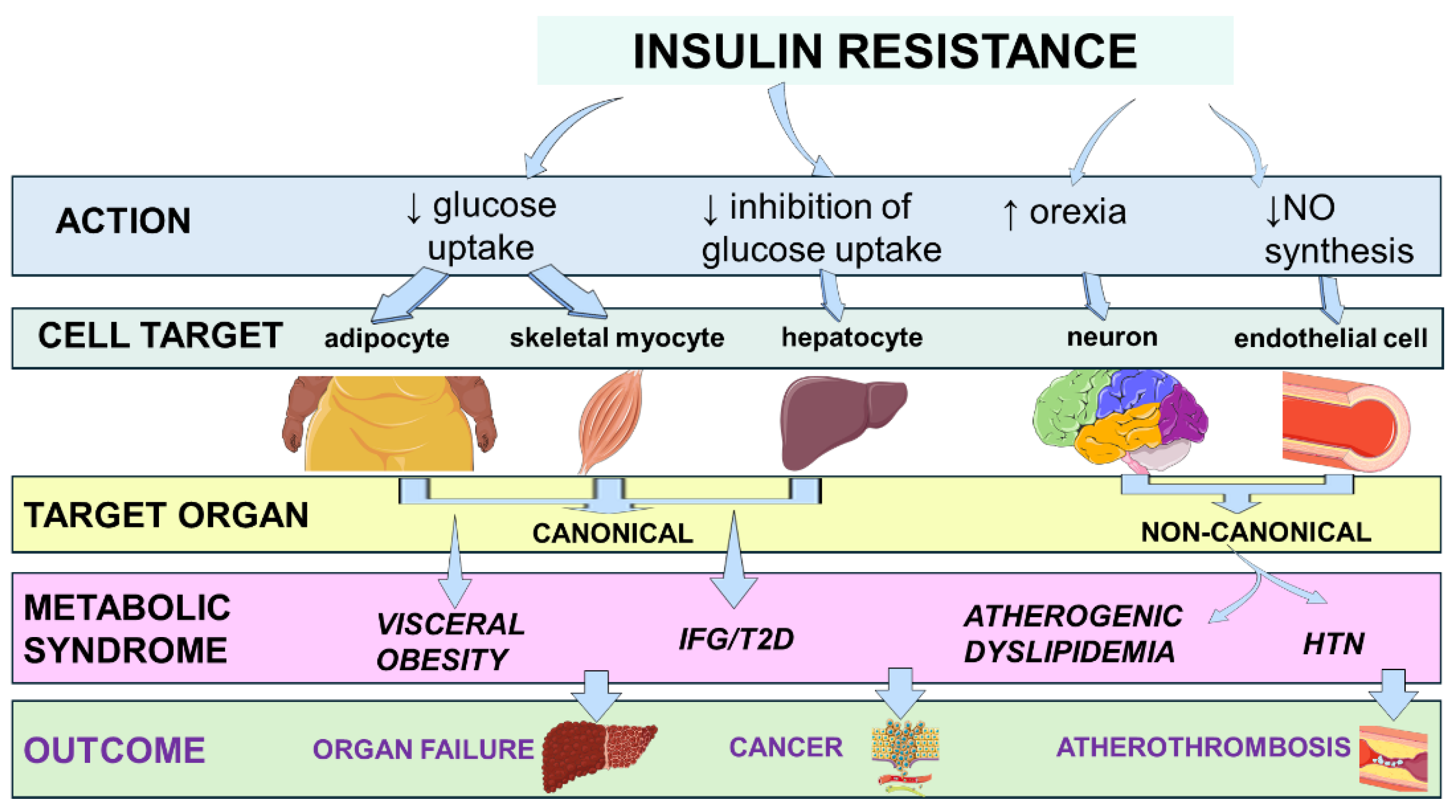 Preprints 184405 g001