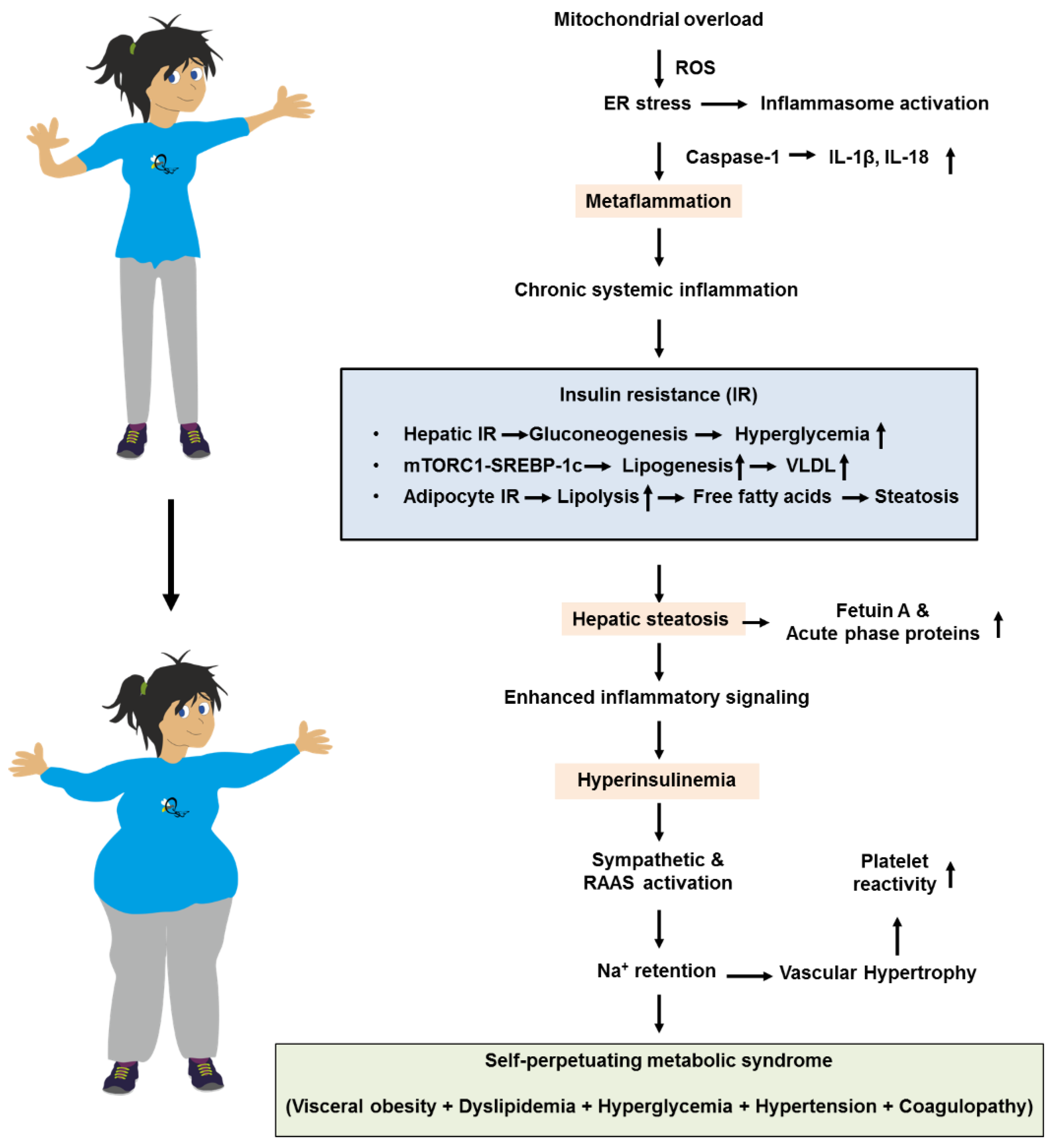 Preprints 184405 g002