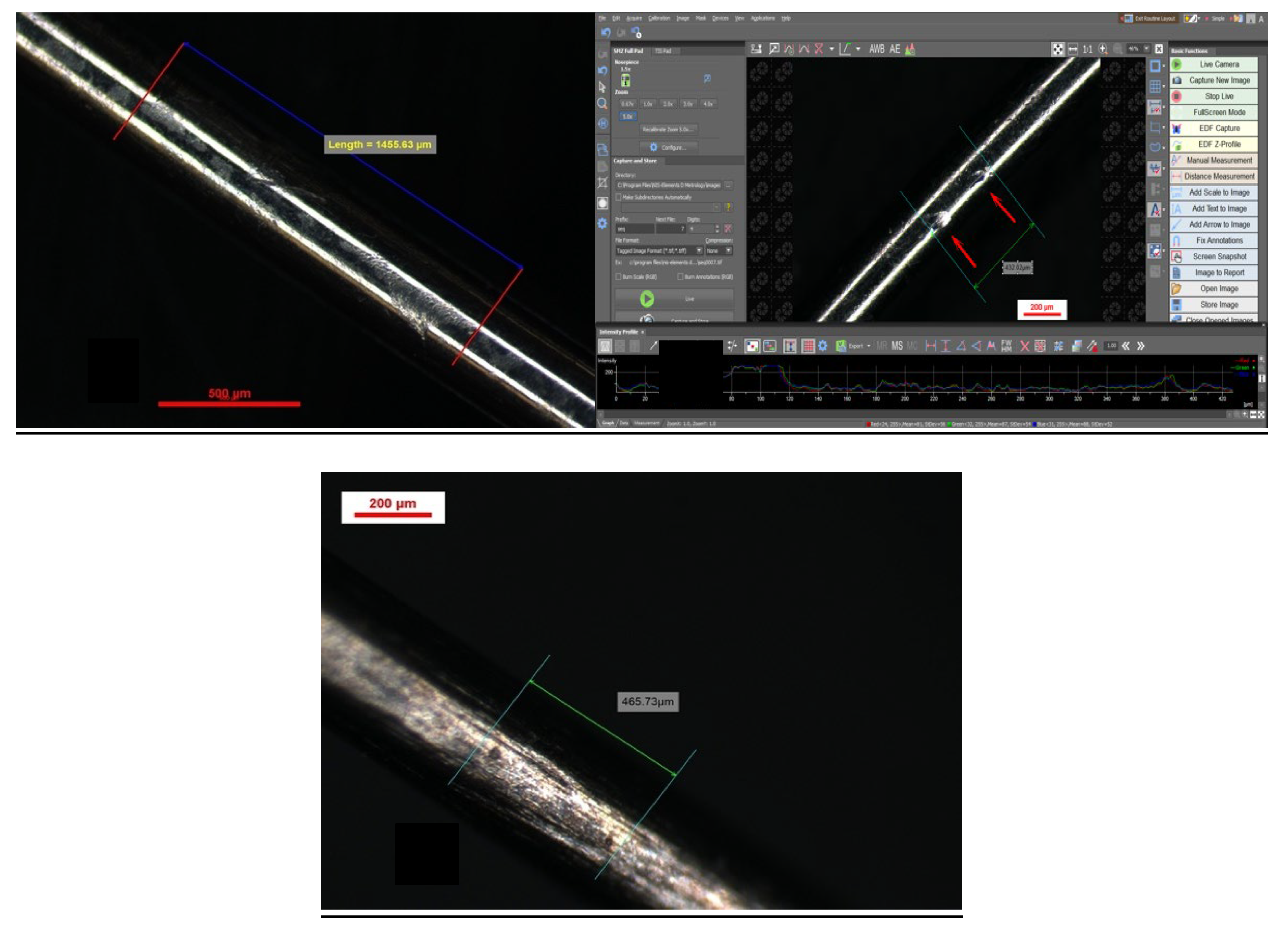 Preprints 186725 g004