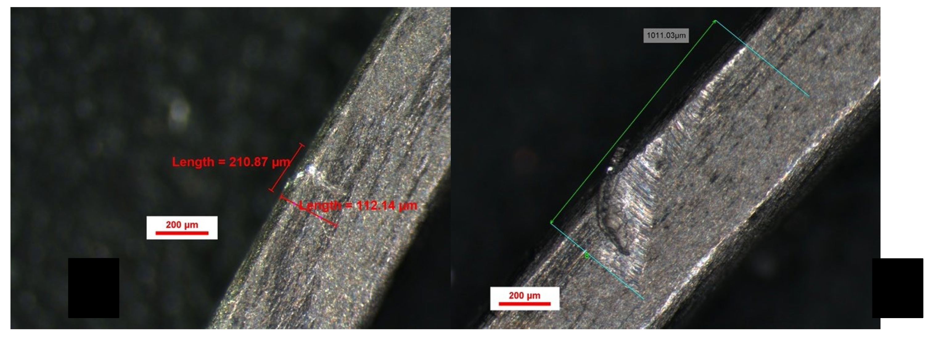 Preprints 186725 g005