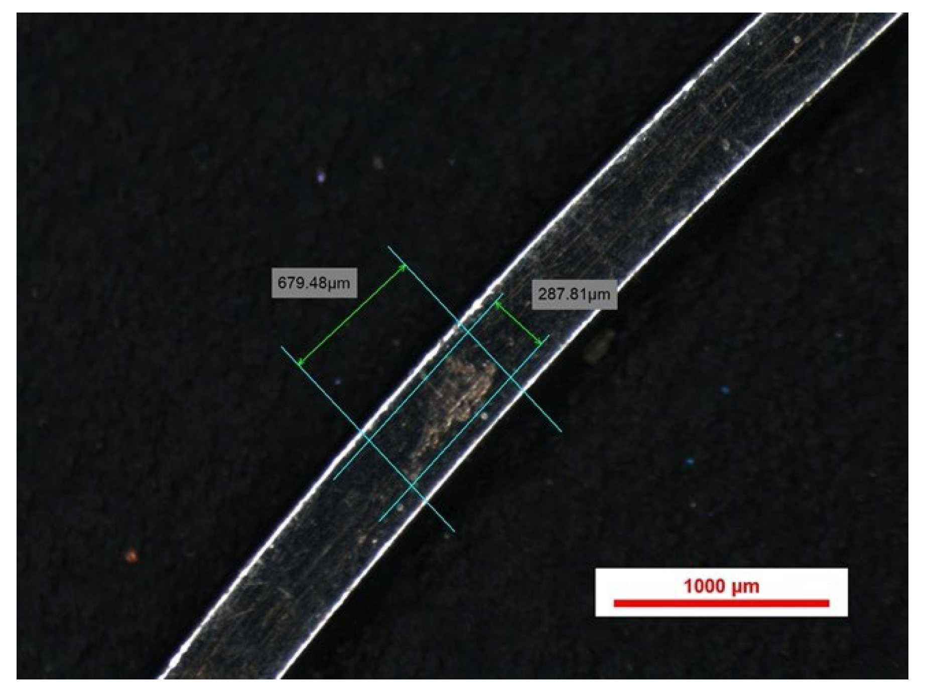 Preprints 186725 g006