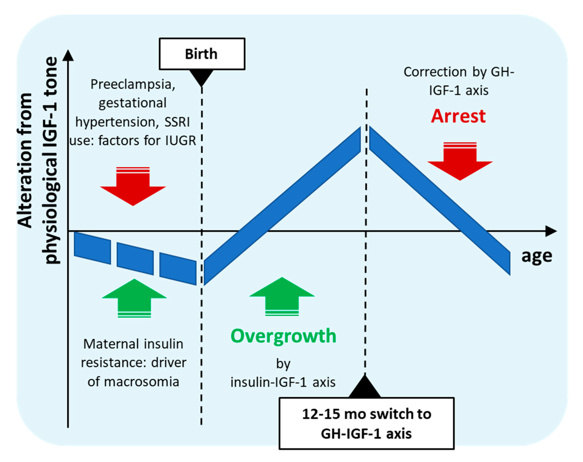 Preprints 155076 g001