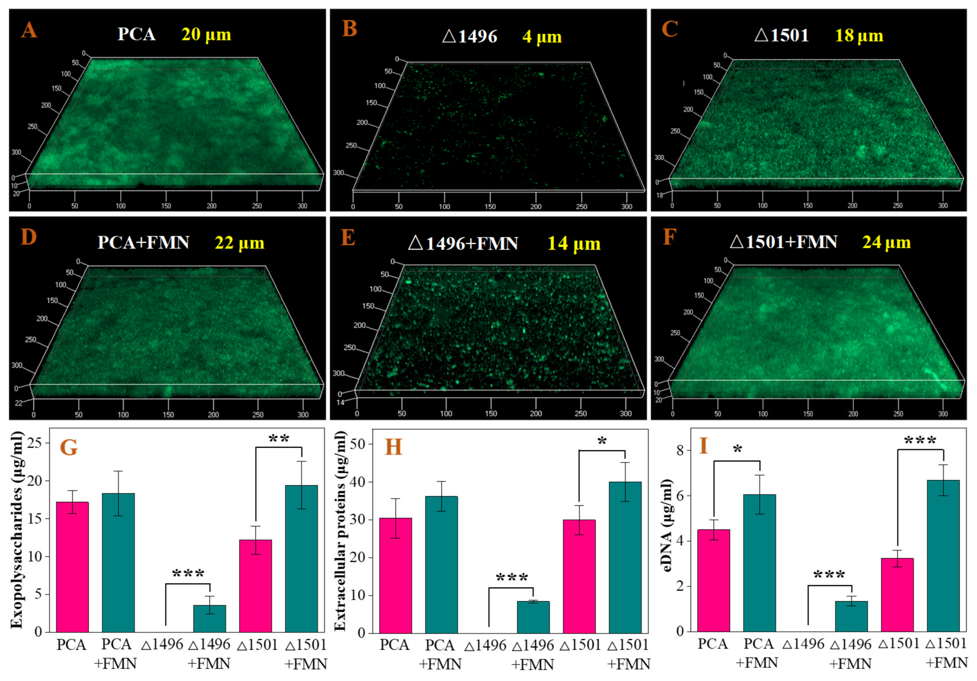 Preprints 191134 g001