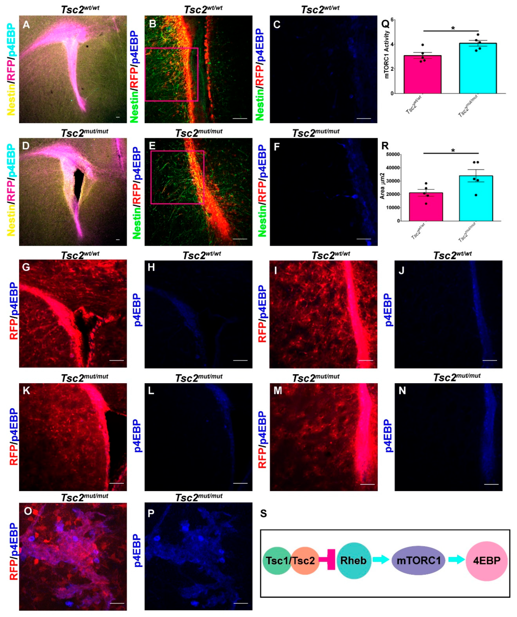 Preprints 189751 g002