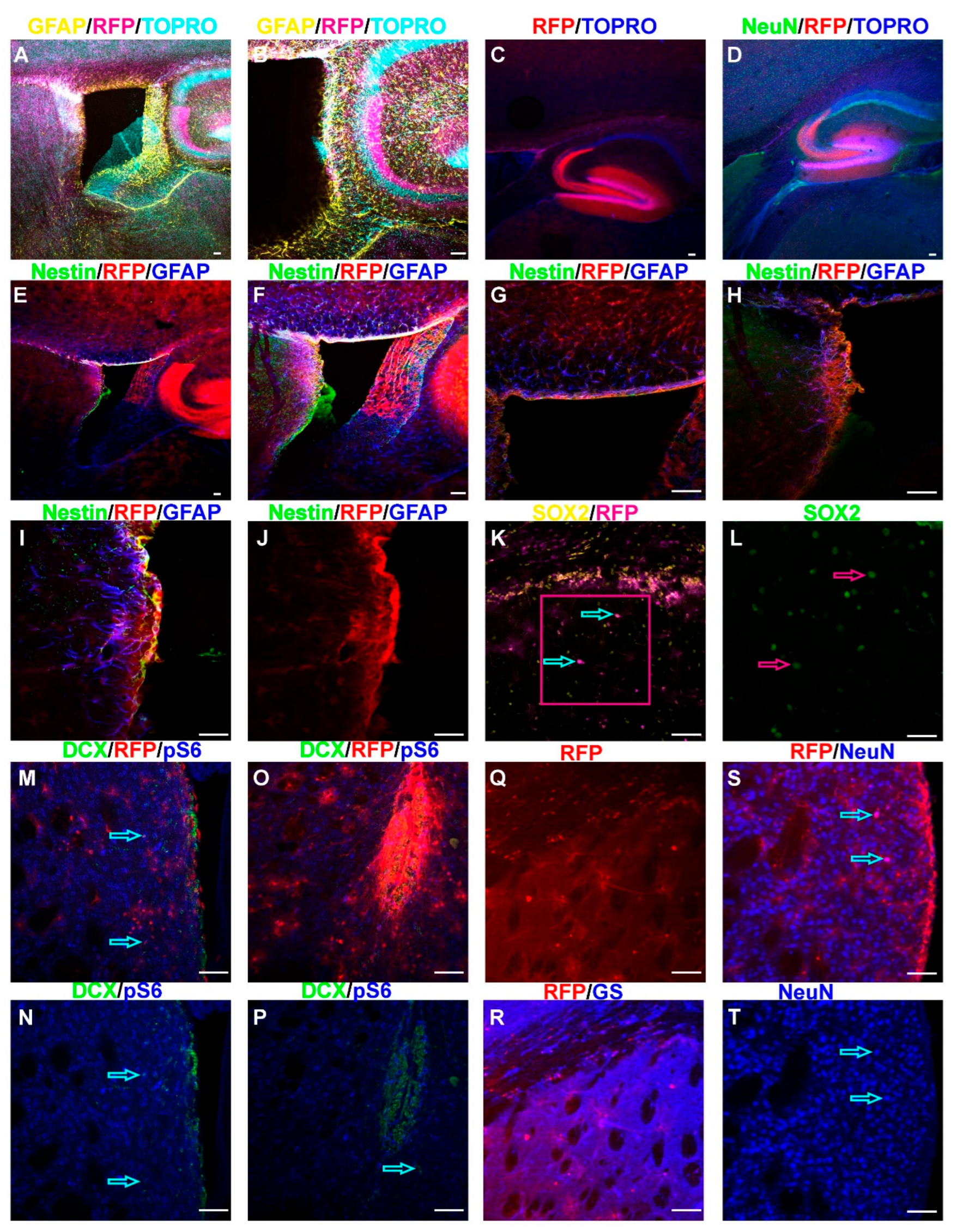 Preprints 189751 g003