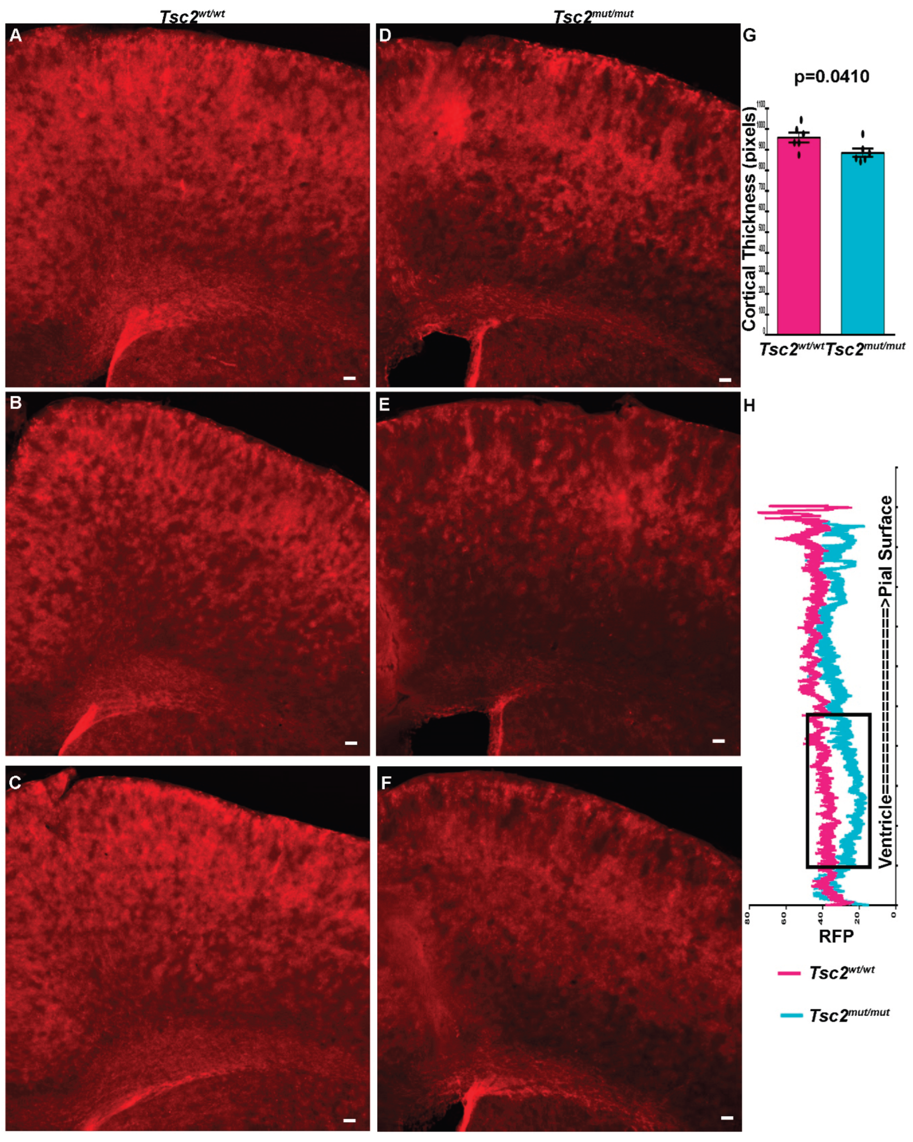 Preprints 189751 g005