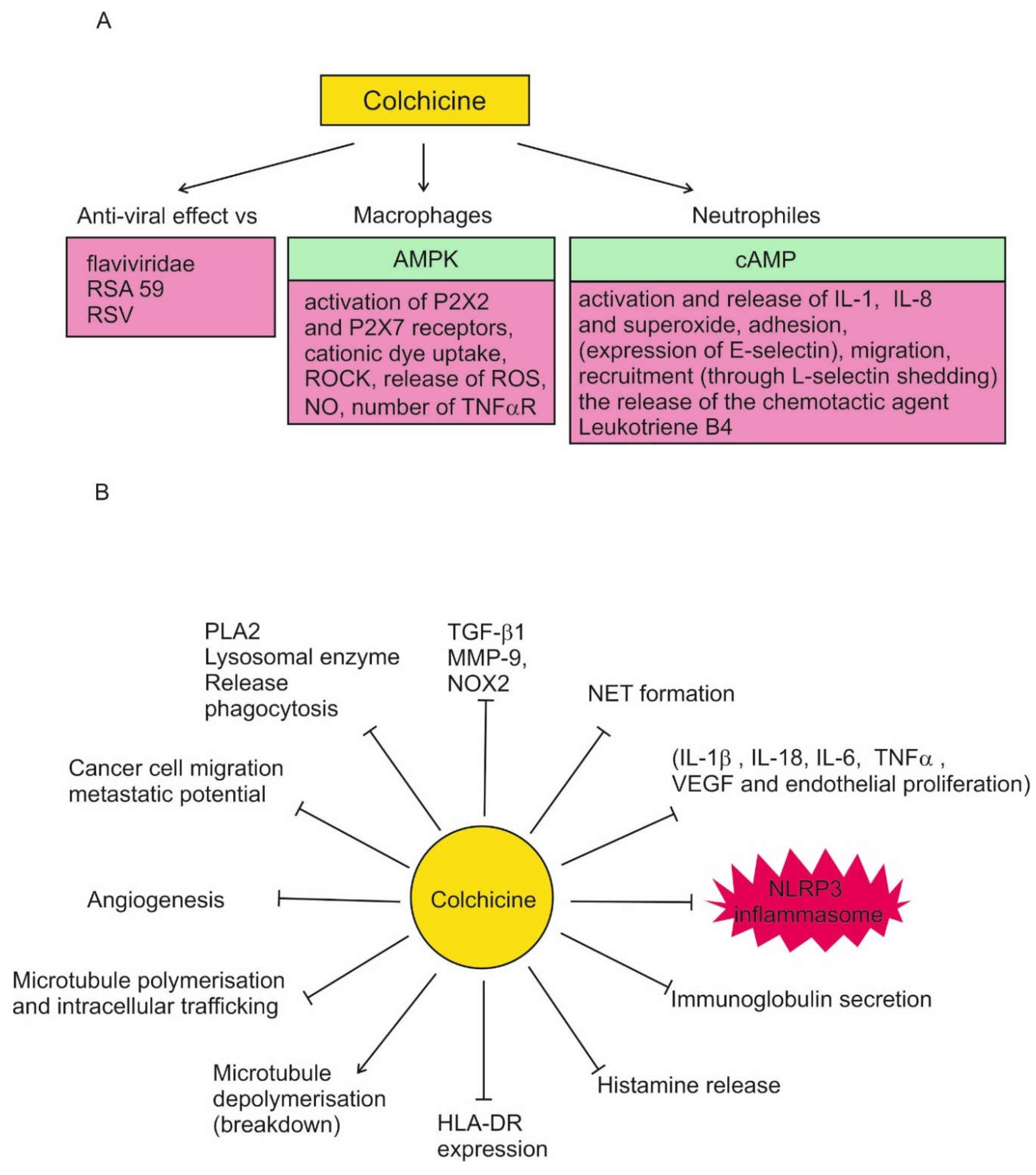 Preprints 109059 g001