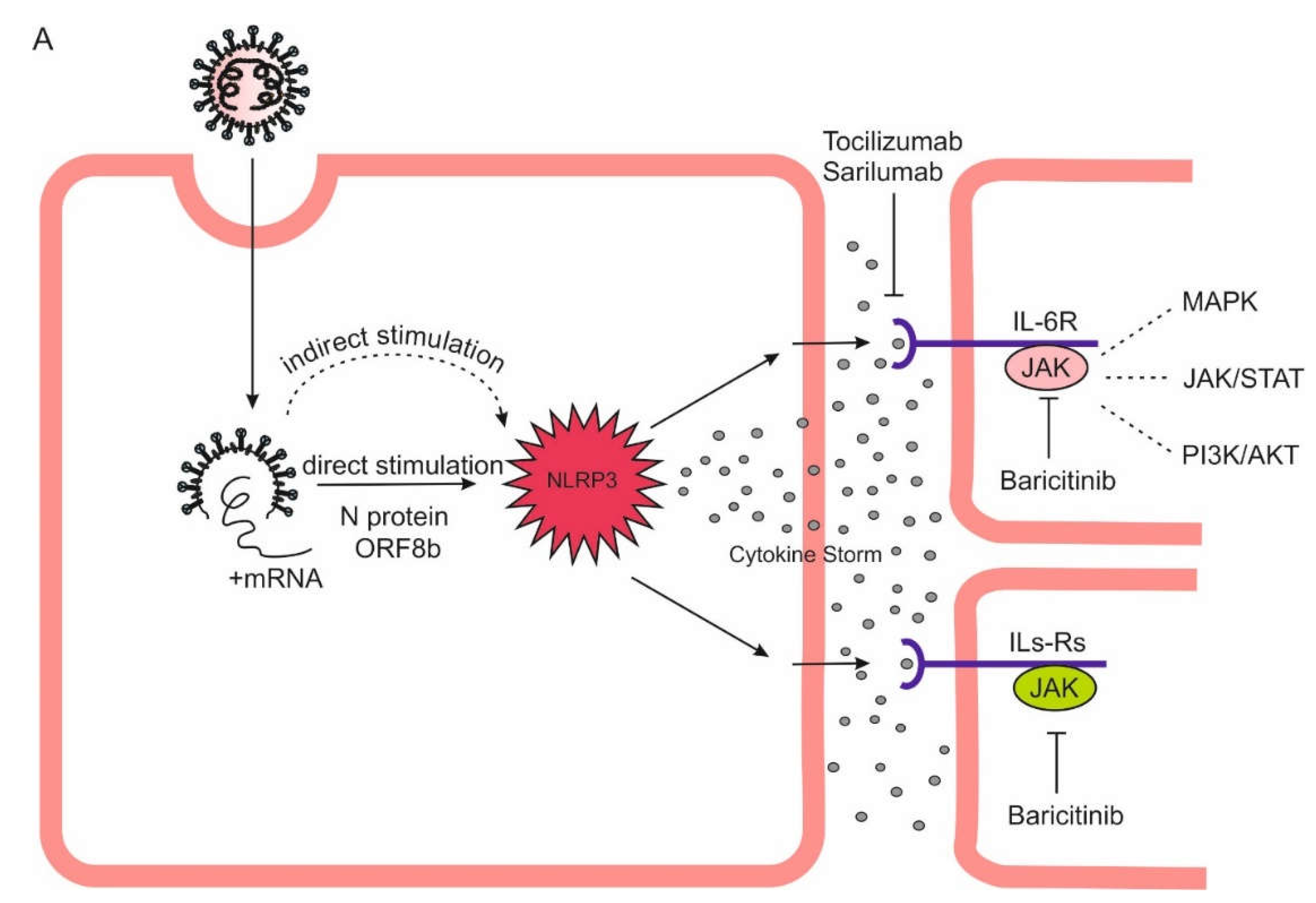 Preprints 109059 g003a