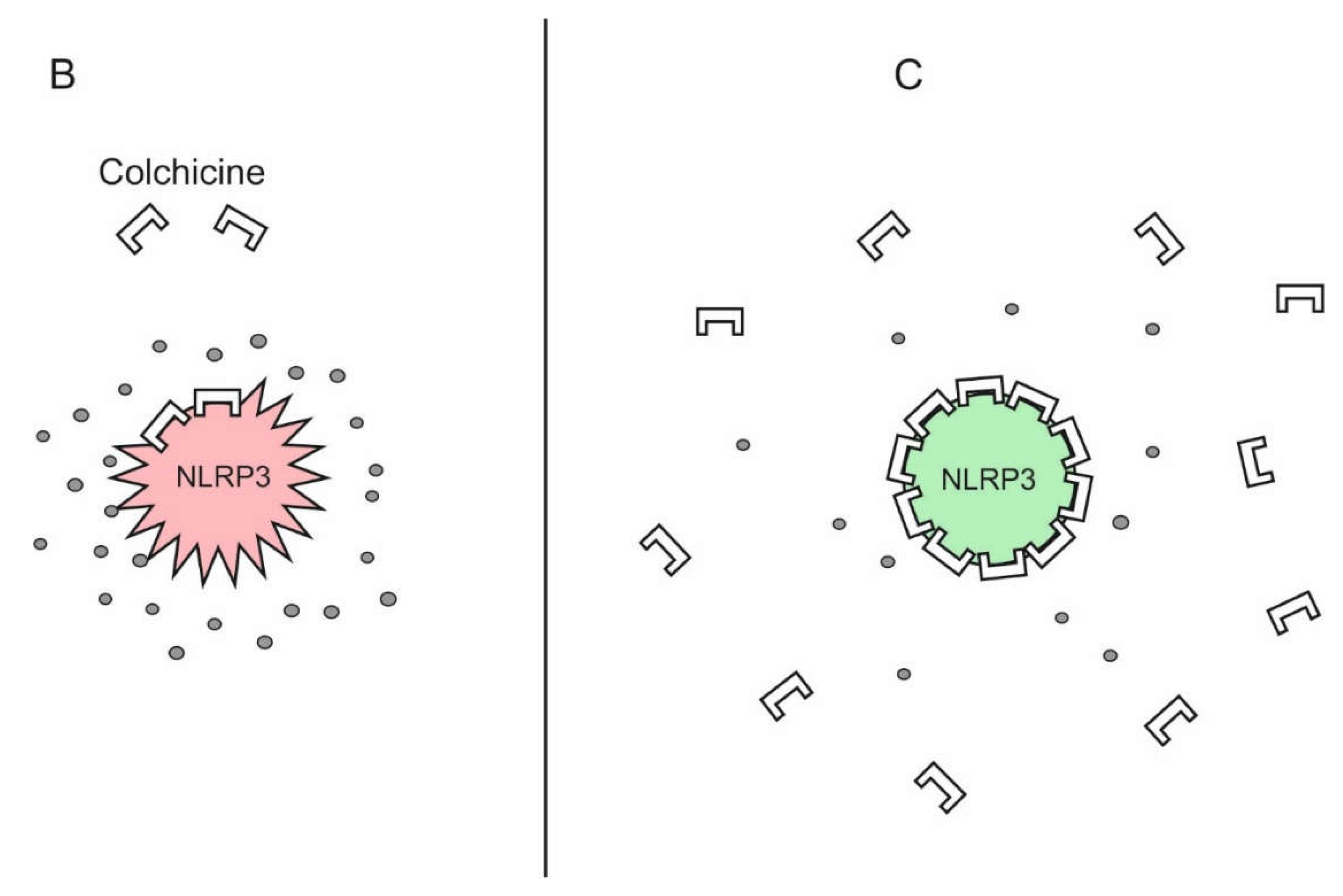 Preprints 109059 g003b