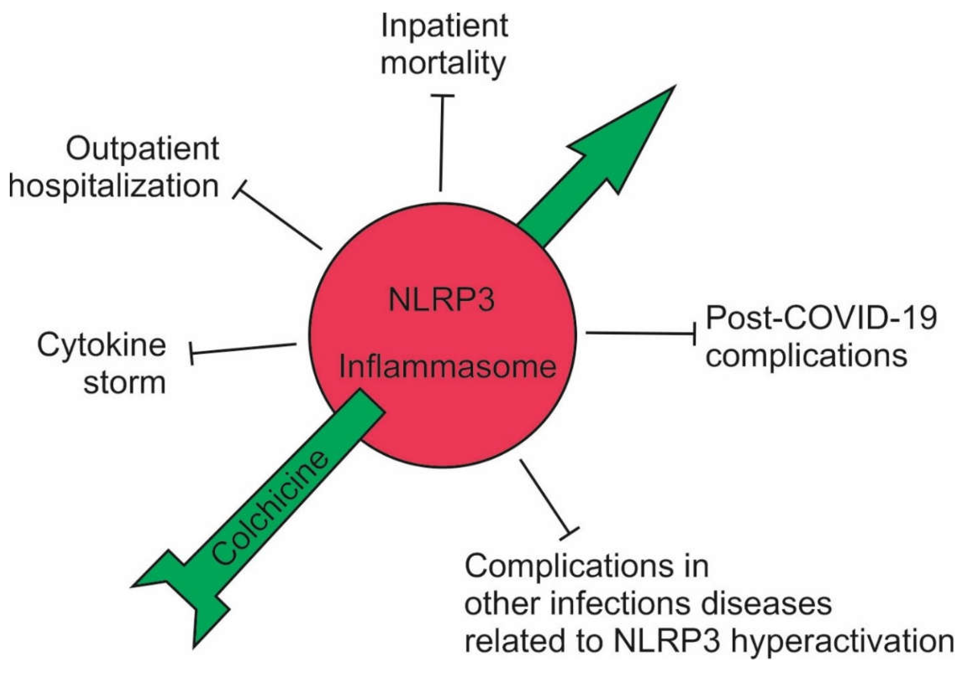 Preprints 109059 g004