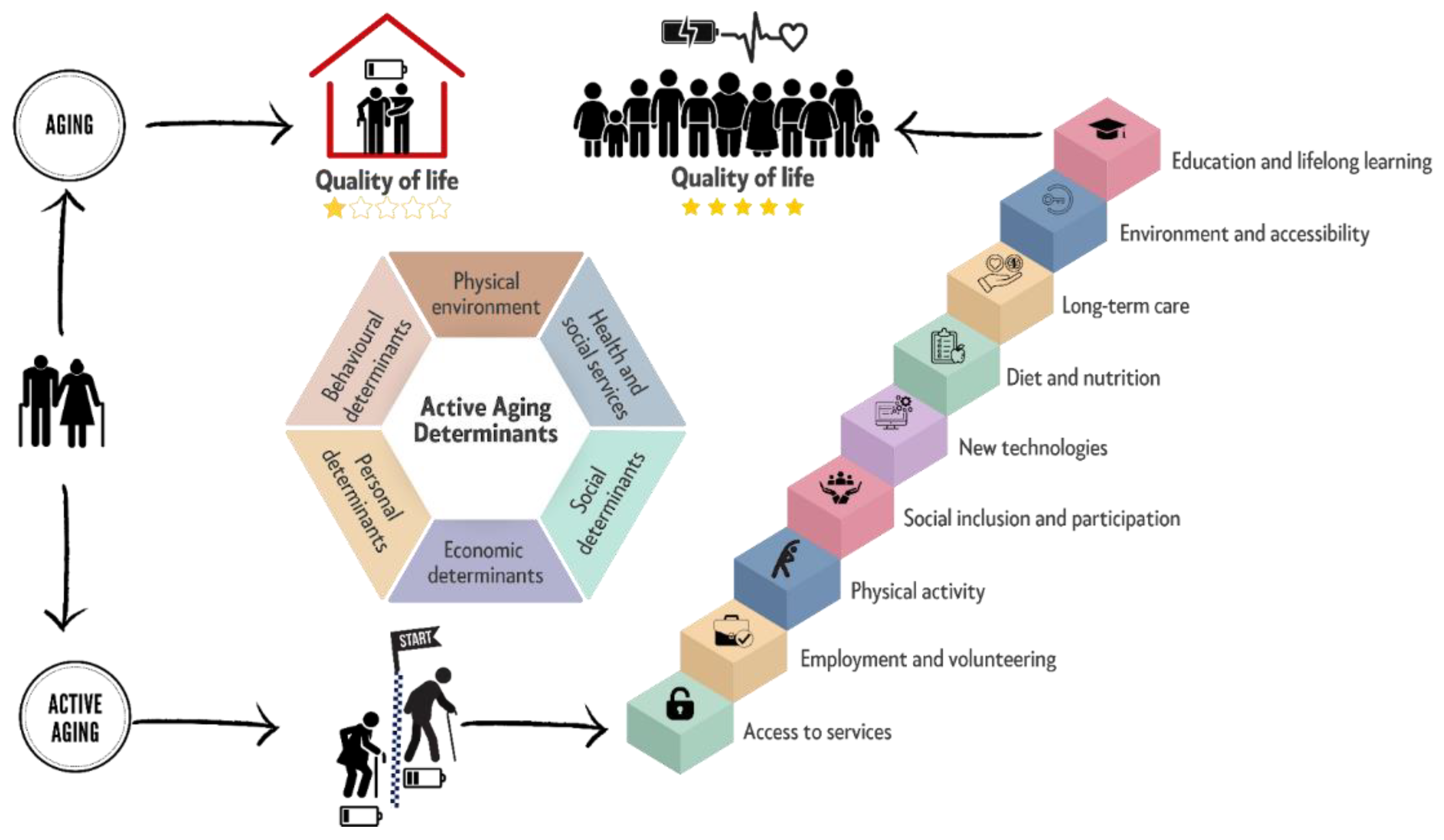 Preprints 143609 g005