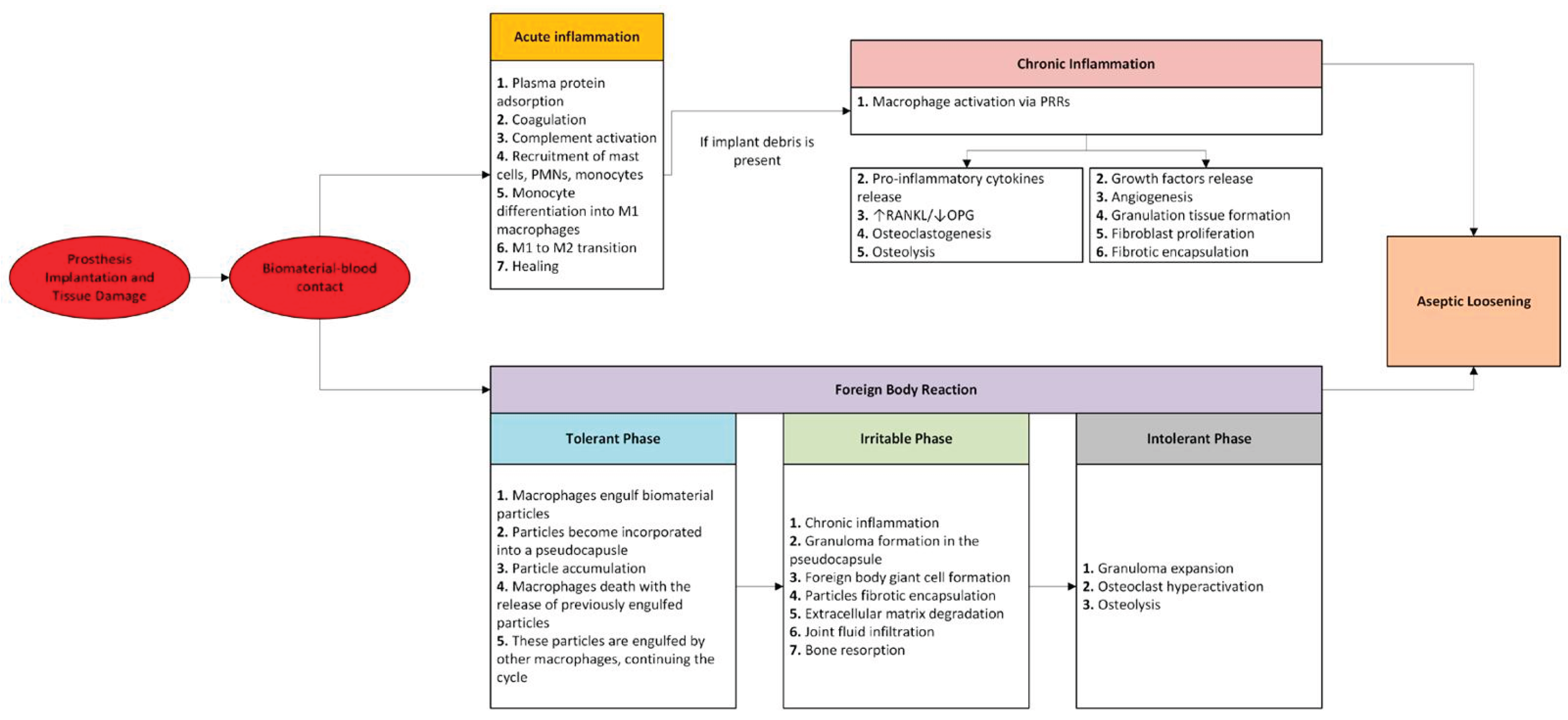 Preprints 170055 g001