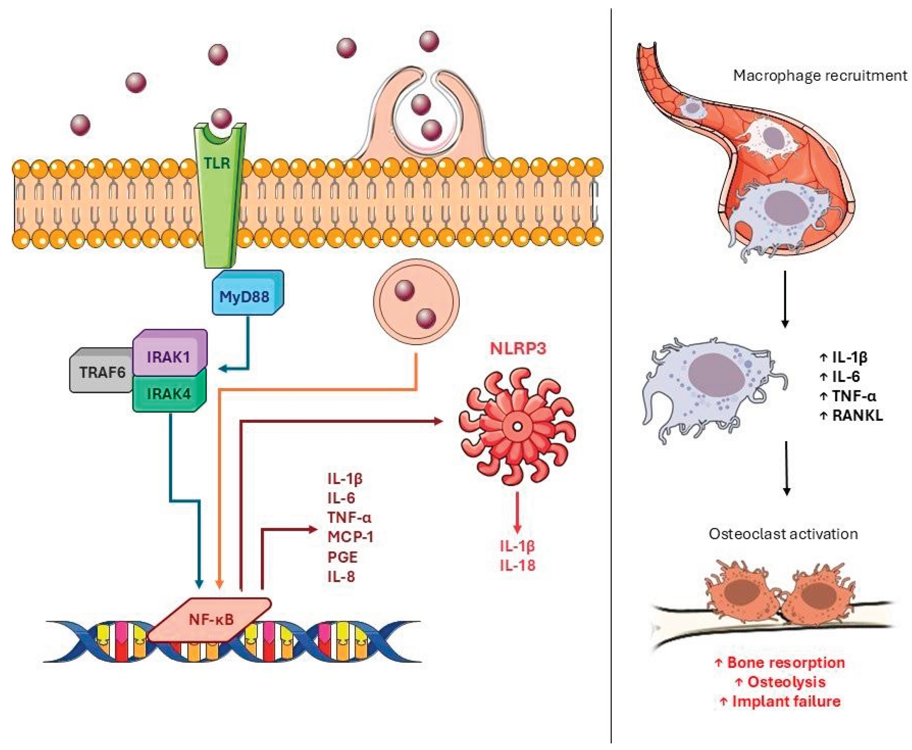 Preprints 170055 g002