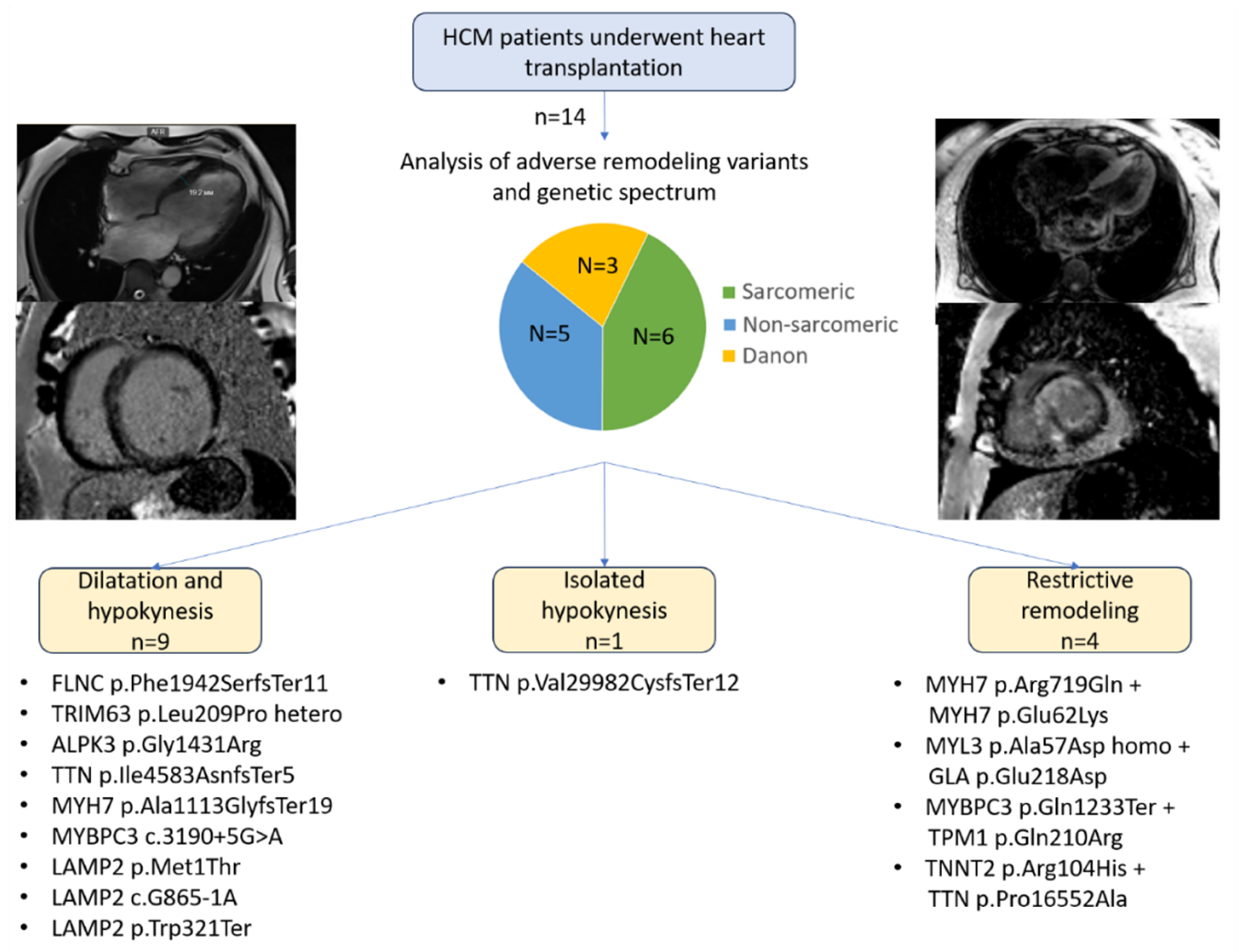 Preprints 179171 g001