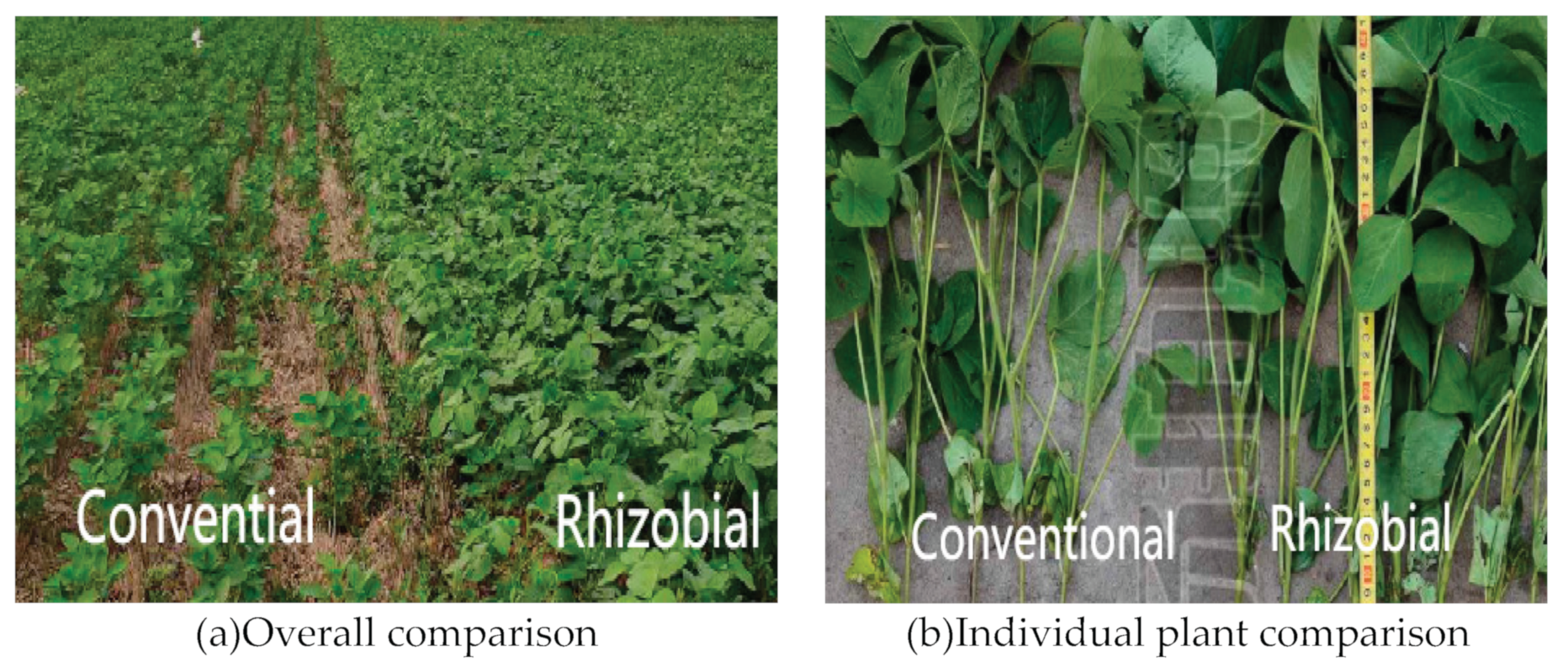 Preprints 102610 g009a