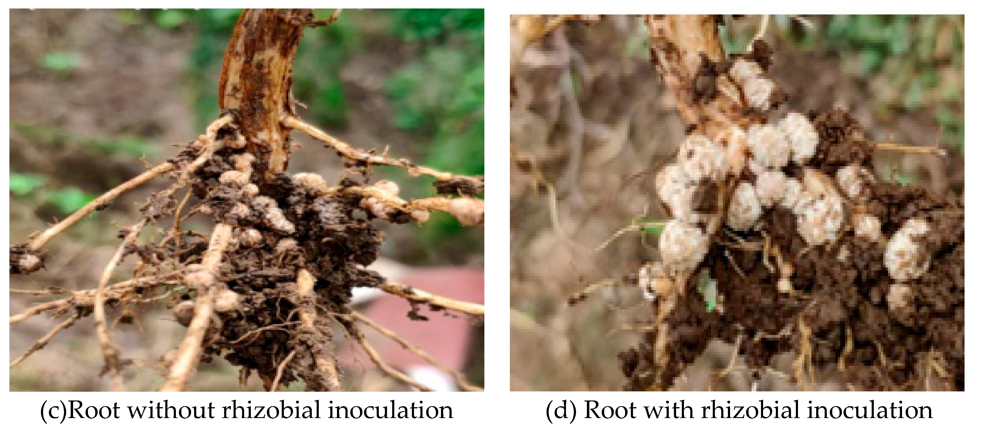Preprints 102610 g009b